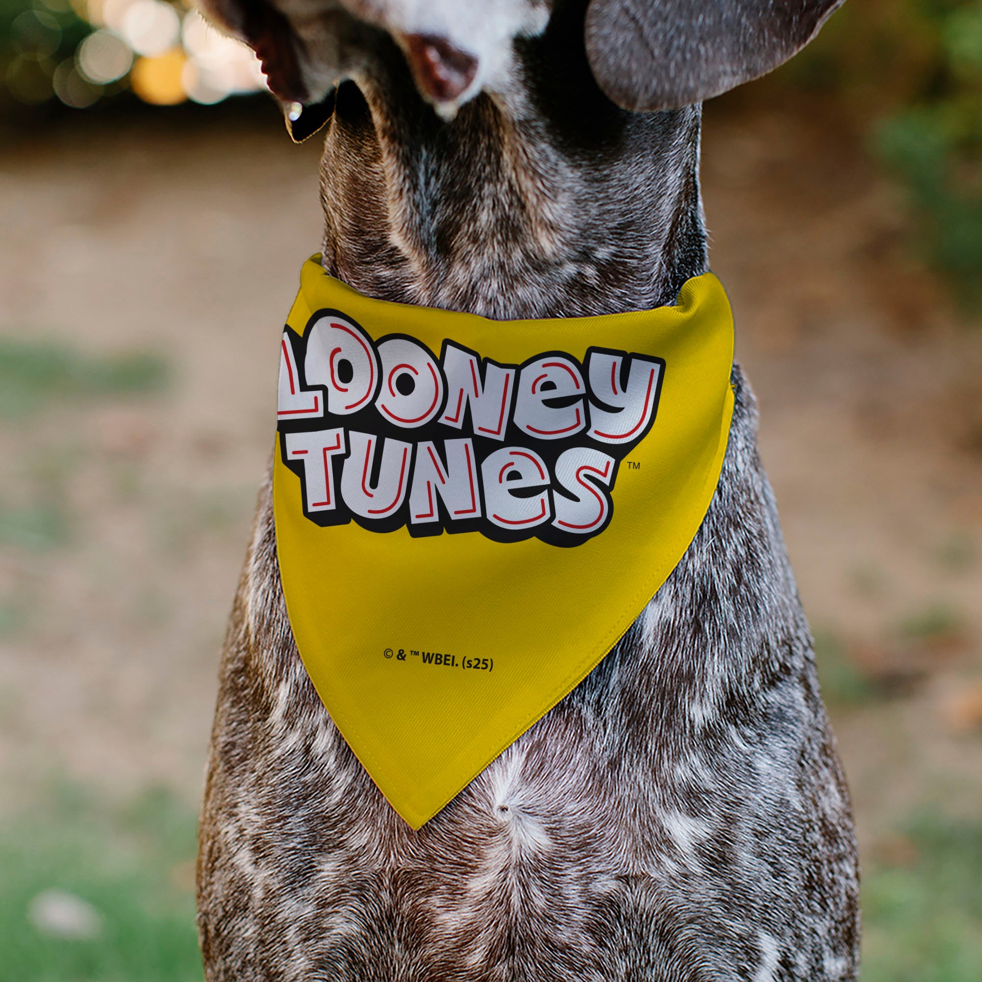 Pet Bandana - LOONEY TUNES Speedy Gonzales Face Close-Up Yellow