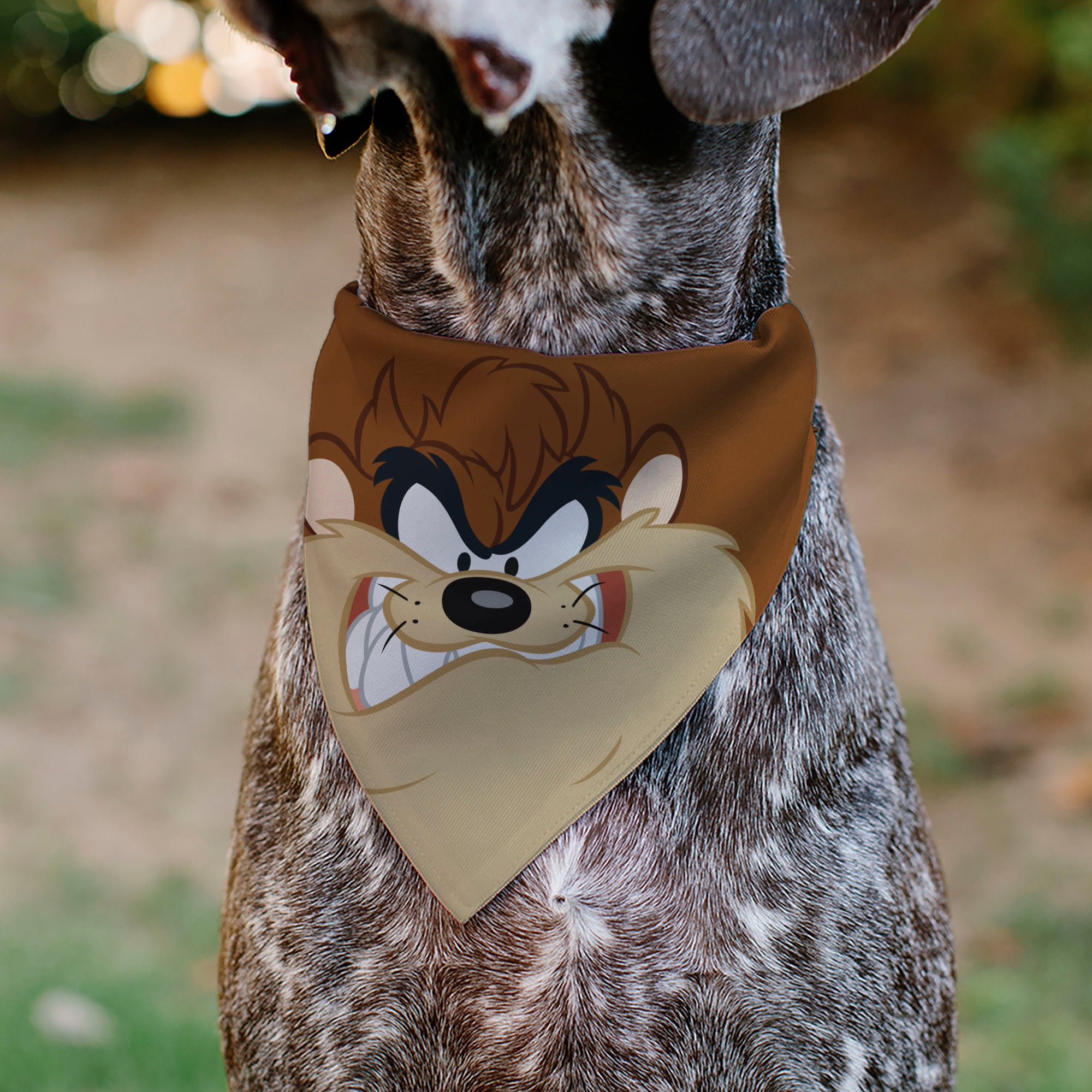 Pet Bandana - LOONEY TUNES Taz Tasmanian Devil Face Close-Up Brown