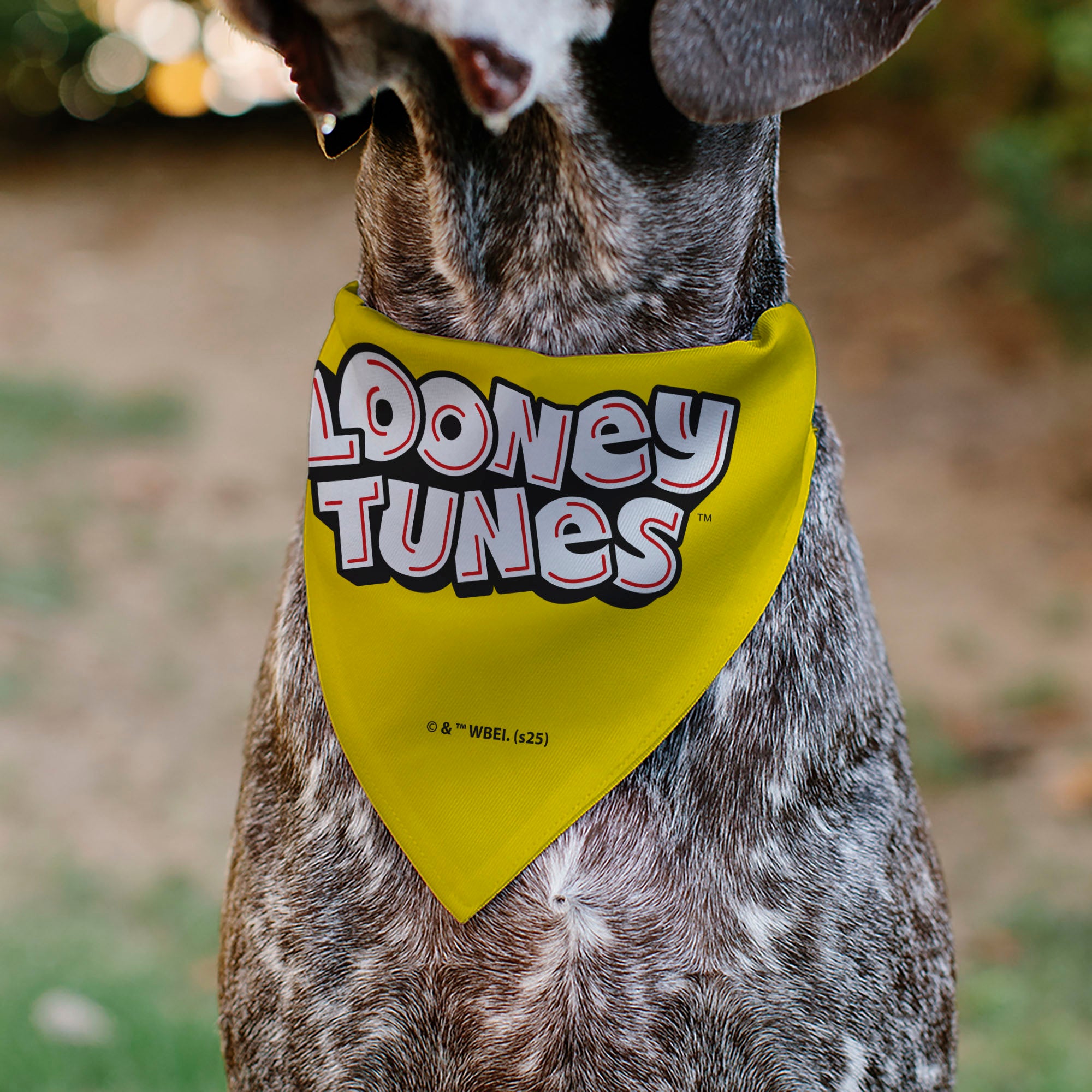 Pet Bandana - LOONEY TUNES Tweety Bird Face Close-Up Yellow