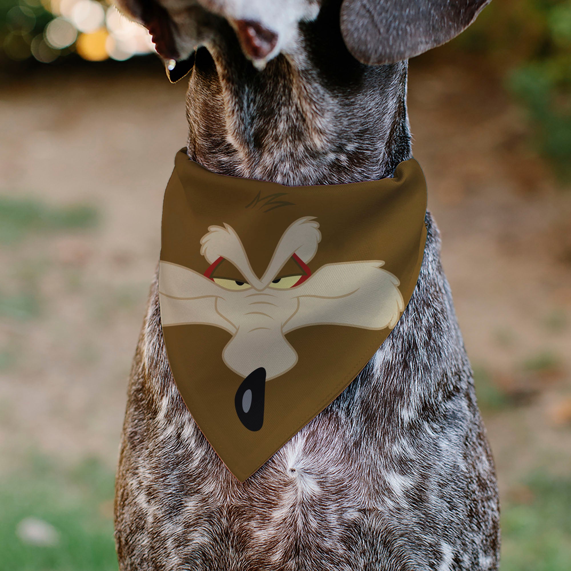 Pet Bandana - LOONEY TUNES Wile E. Coyote Face Close-Up Brown