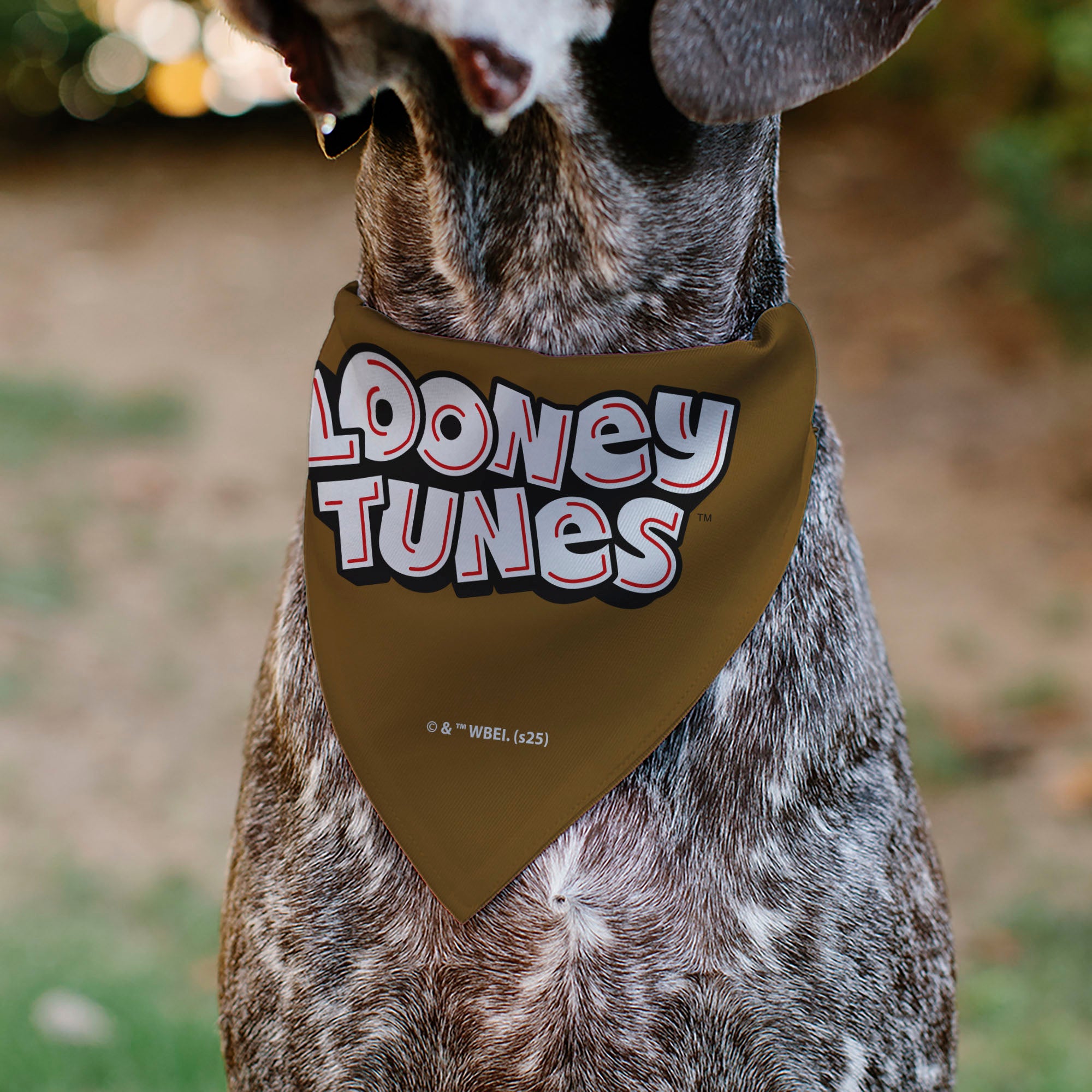 Pet Bandana - LOONEY TUNES Wile E. Coyote Face Close-Up Brown