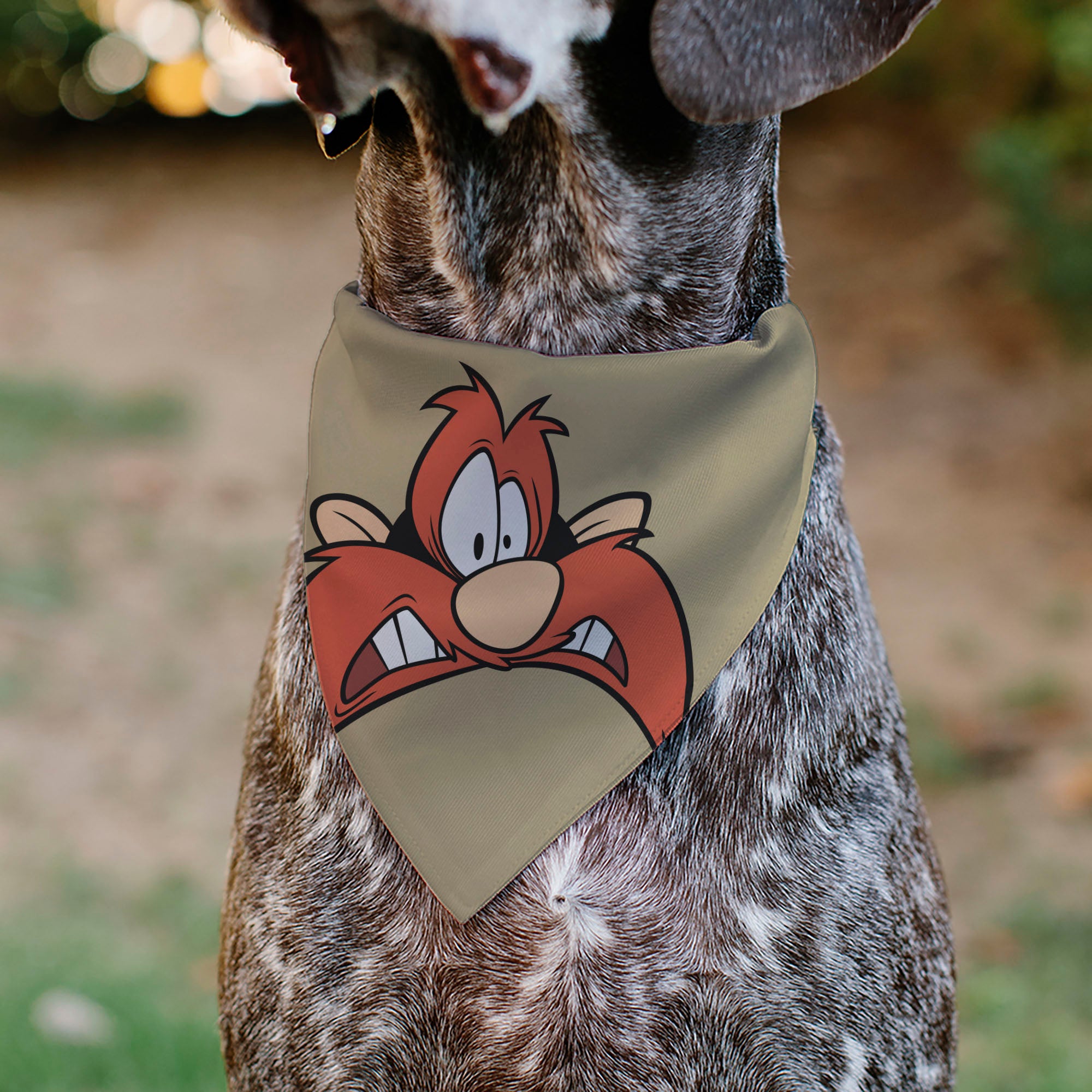 Pet Bandana - LOONEY TUNES Yosemite Sam Face Close-Up Tan
