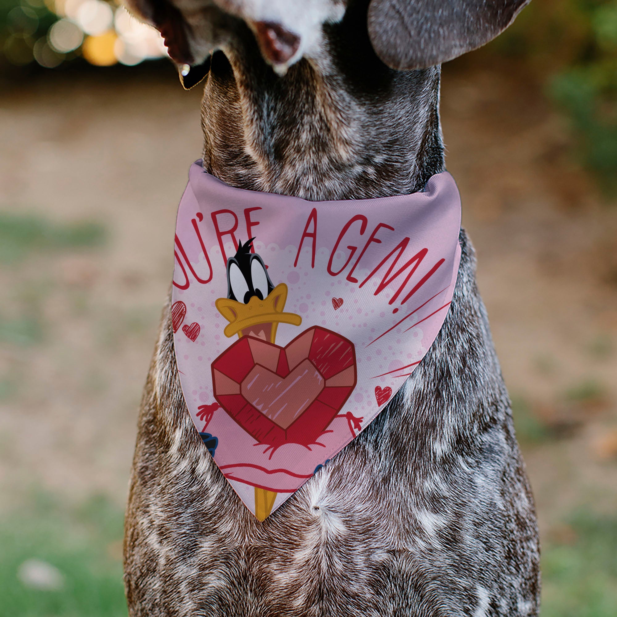 Pet Bandana - Daffy Duck YOU'RE A GEM Heart Pose and Title Logo Pink Pet Bandanas Looney Tunes