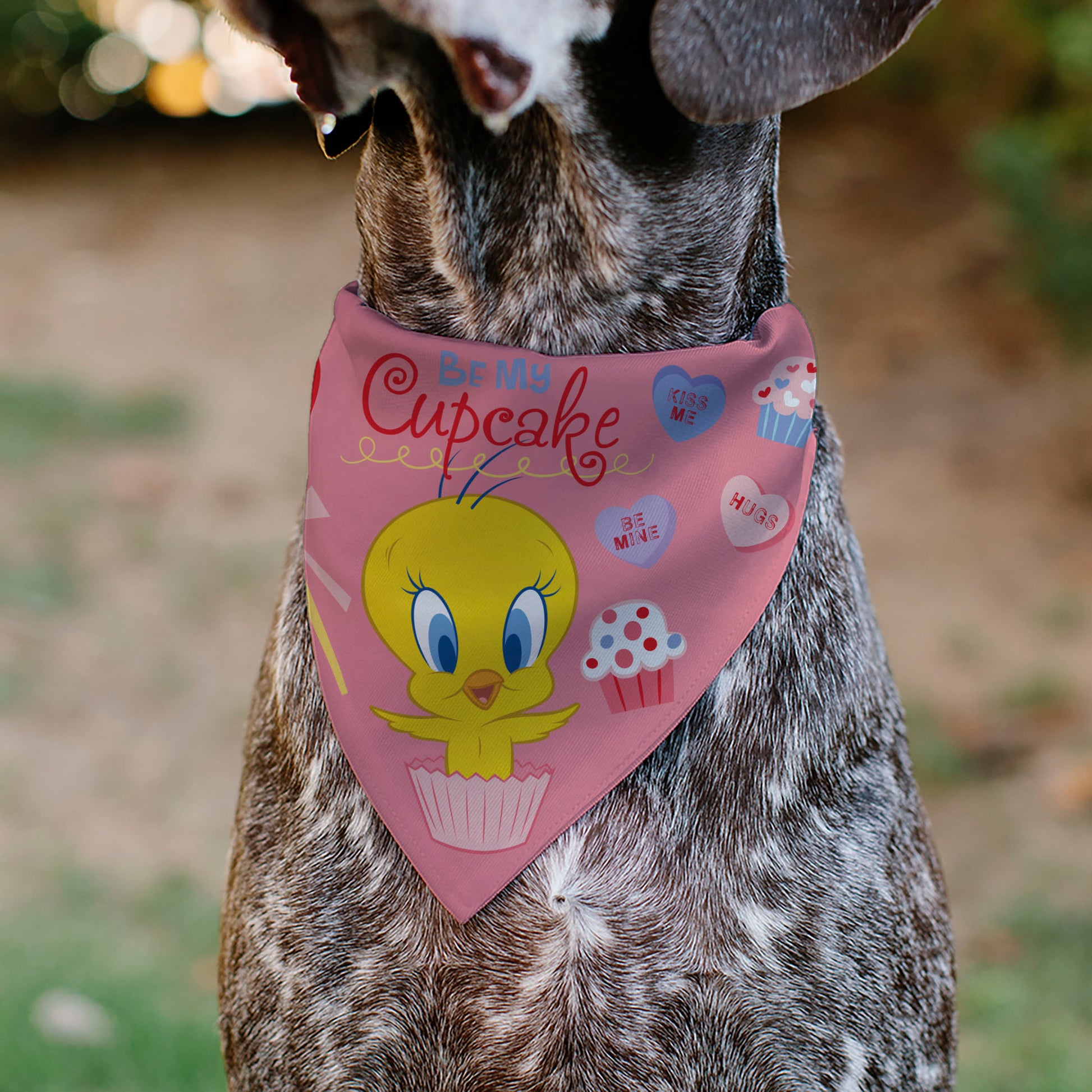 Pet Bandana - Tweety Bird BE MY CUPCAKE Sweets Pose and Title Logo Pink Pet Bandanas Looney Tunes