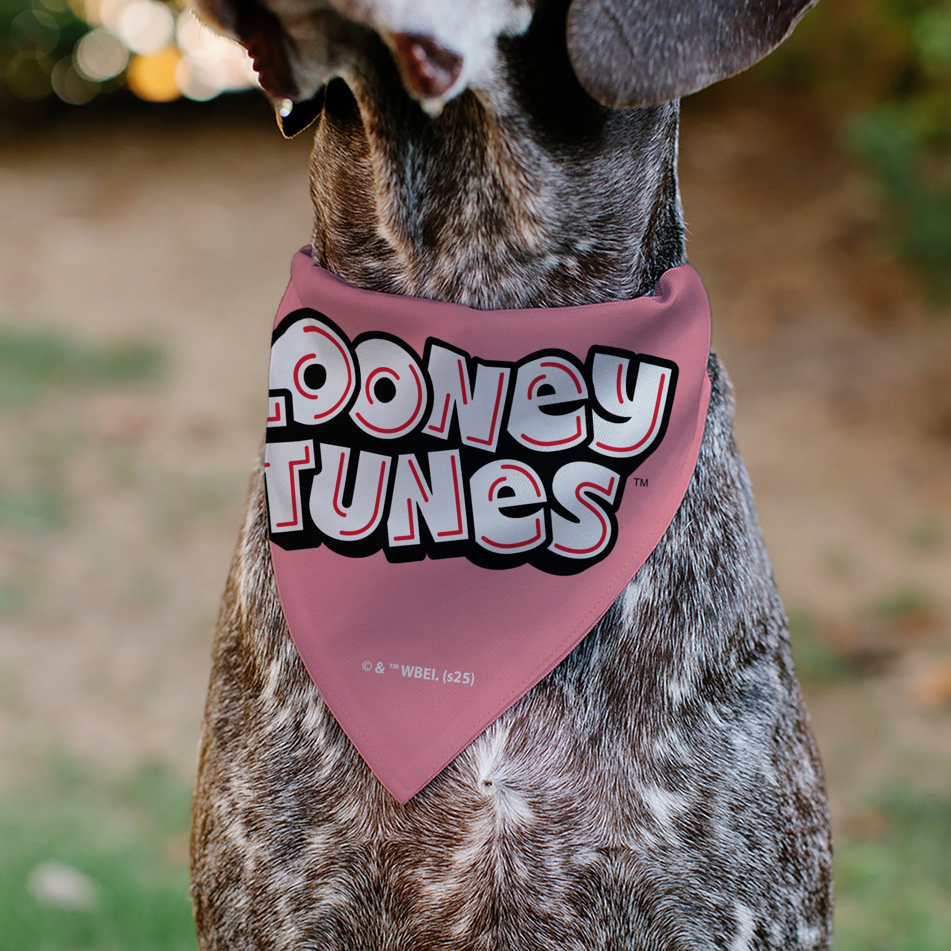 Pet Bandana - Tweety Bird BE MY CUPCAKE Sweets Pose and Title Logo Pink Pet Bandanas Looney Tunes