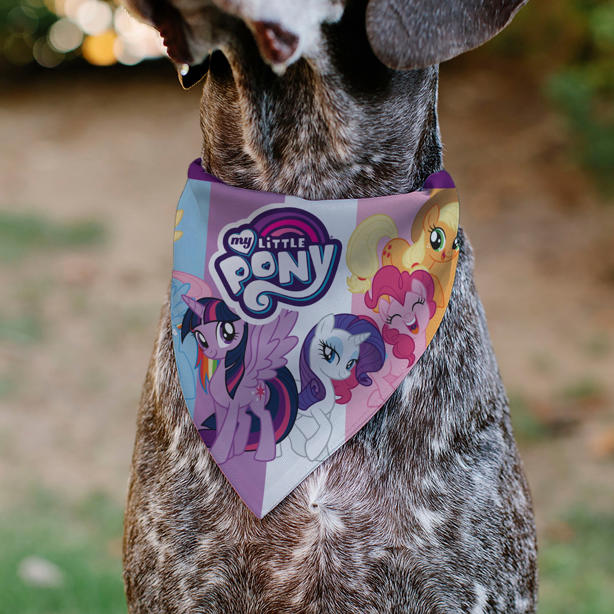 Pet Bandana - MY LITTLE PONY Mane Six Pony Poses and Title Logo Multi Color Pet Bandanas My Little Pony