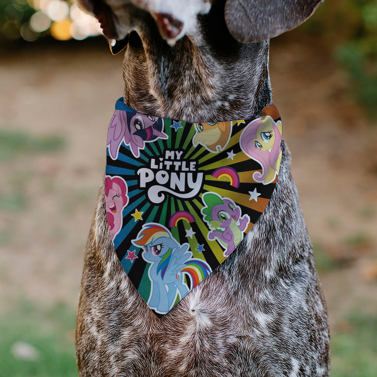 Pet Bandana - MY LITTLE PONY Mane Six and Spike Sunburst Black/Multi Color Pet Bandanas My Little Pony