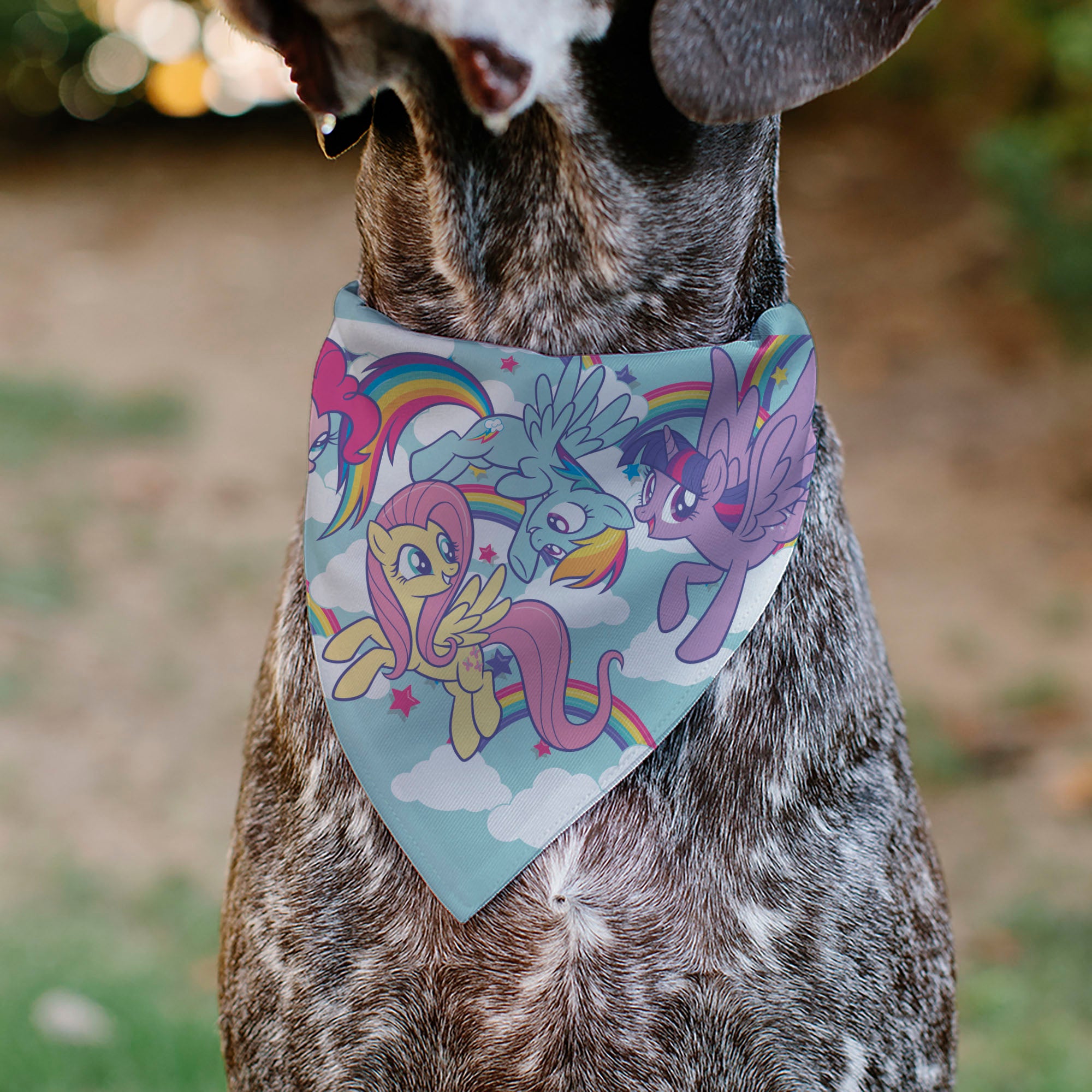Pet Bandana - My Little Pony Four Ponies and Rainbows Multi Pastel Pet Bandanas My Little Pony