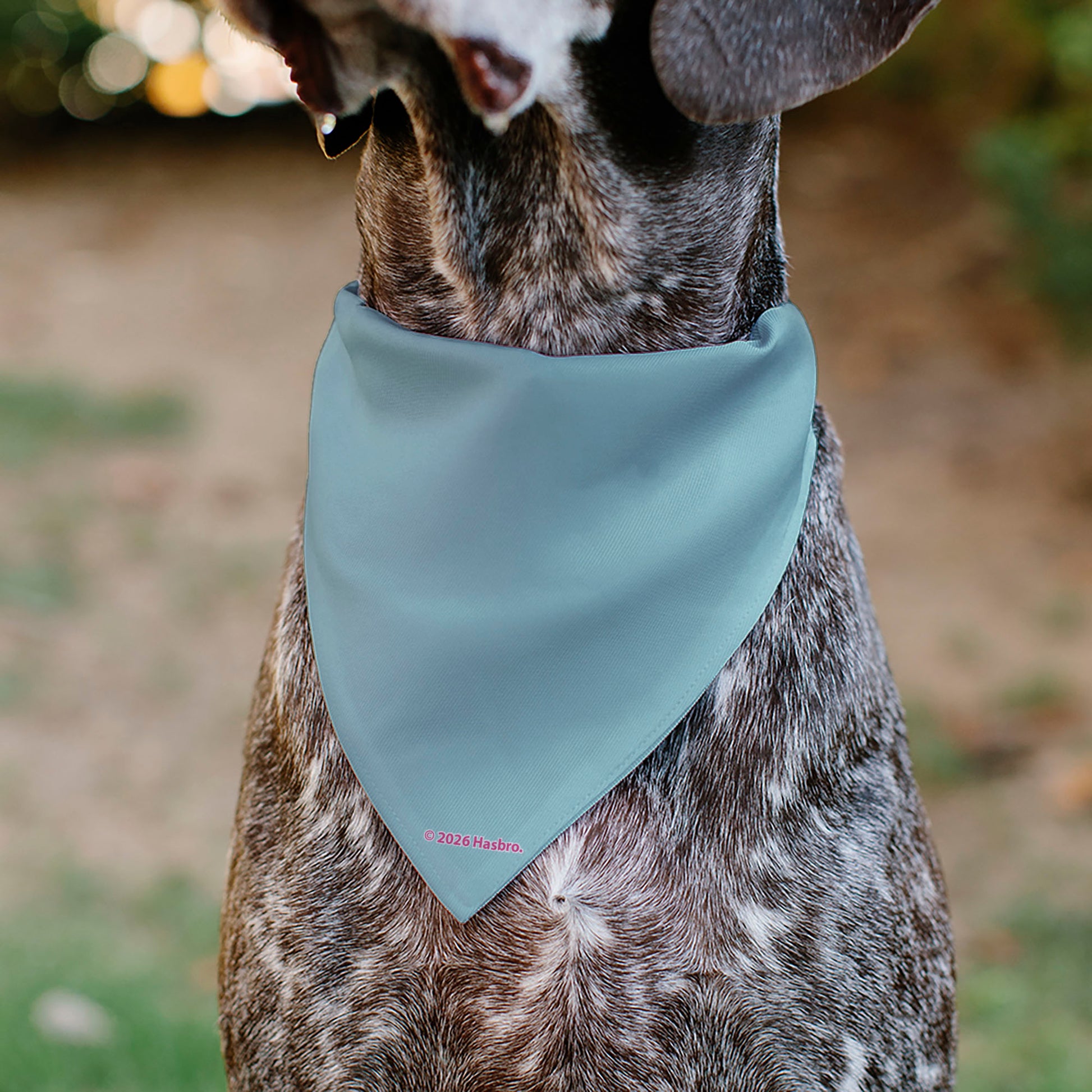 Pet Bandana - My Little Pony Four Ponies and Rainbows Multi Pastel Pet Bandanas My Little Pony