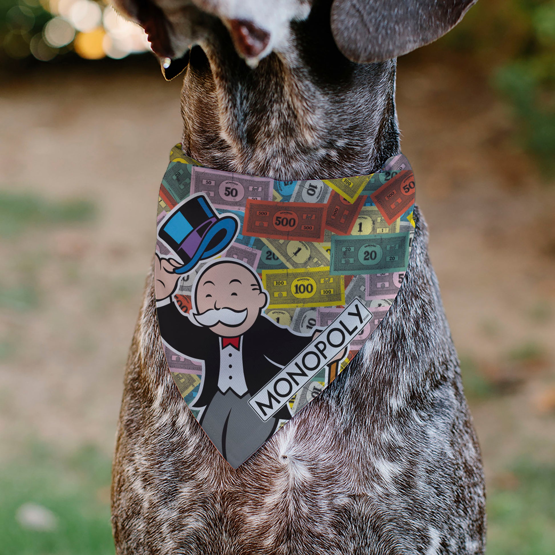 Pet Bandana - Mr. Monopoly Poses Play Money Stacked Multi Color Pet Bandanas Monopoly