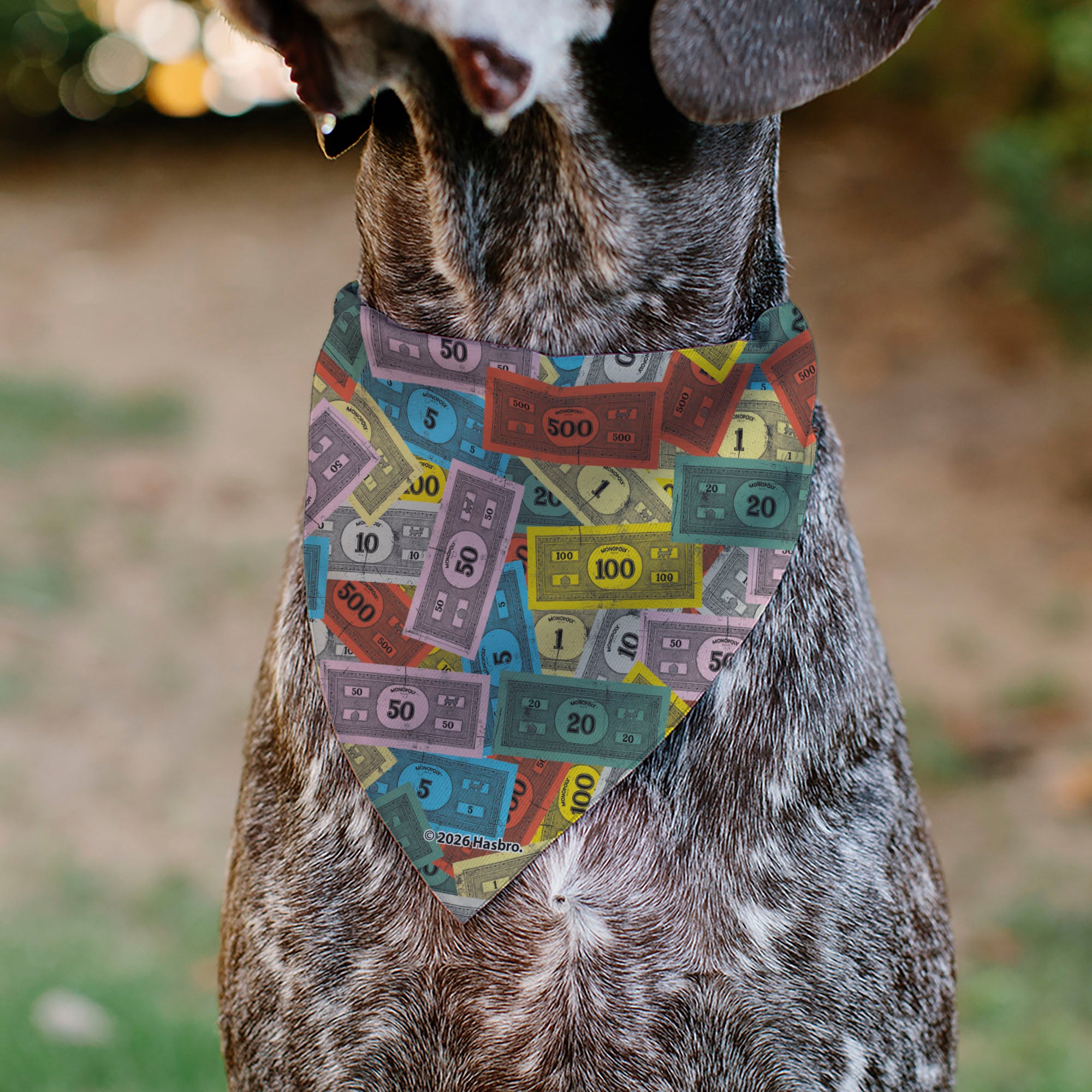 Pet Bandana - Mr. Monopoly Poses Play Money Stacked Multi Color Pet Bandanas Monopoly