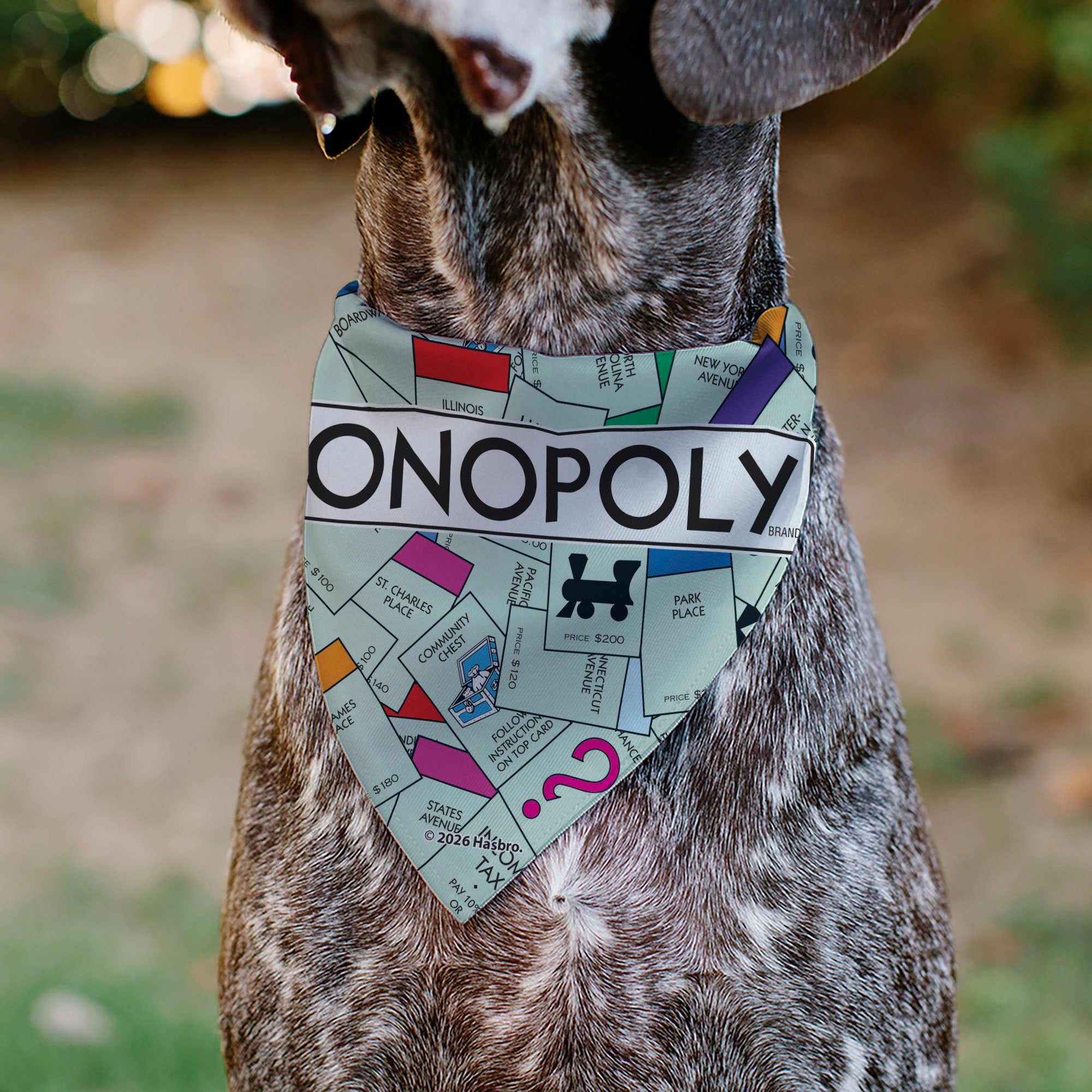 Pet Bandana - Monopoly Game Board and Space Icons Stacked Pet Bandanas Monopoly