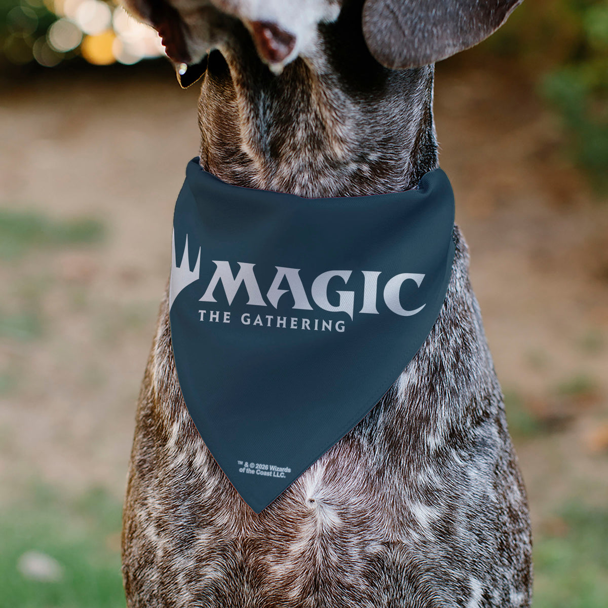 Pet Bandana - Magic the Gathering Three Planeswalker Pose Blocks Blues/Oranges Pet Bandanas Magic the Gathering