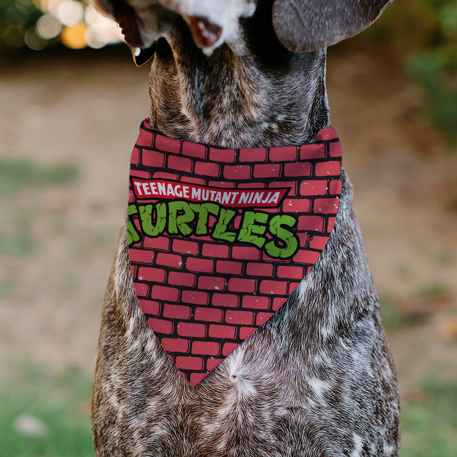 Pet Bandana - TEENAGE MUTANT NINJA TURTLES Brick Title Logo Pet Bandanas Teenage Mutant Ninja Turtles