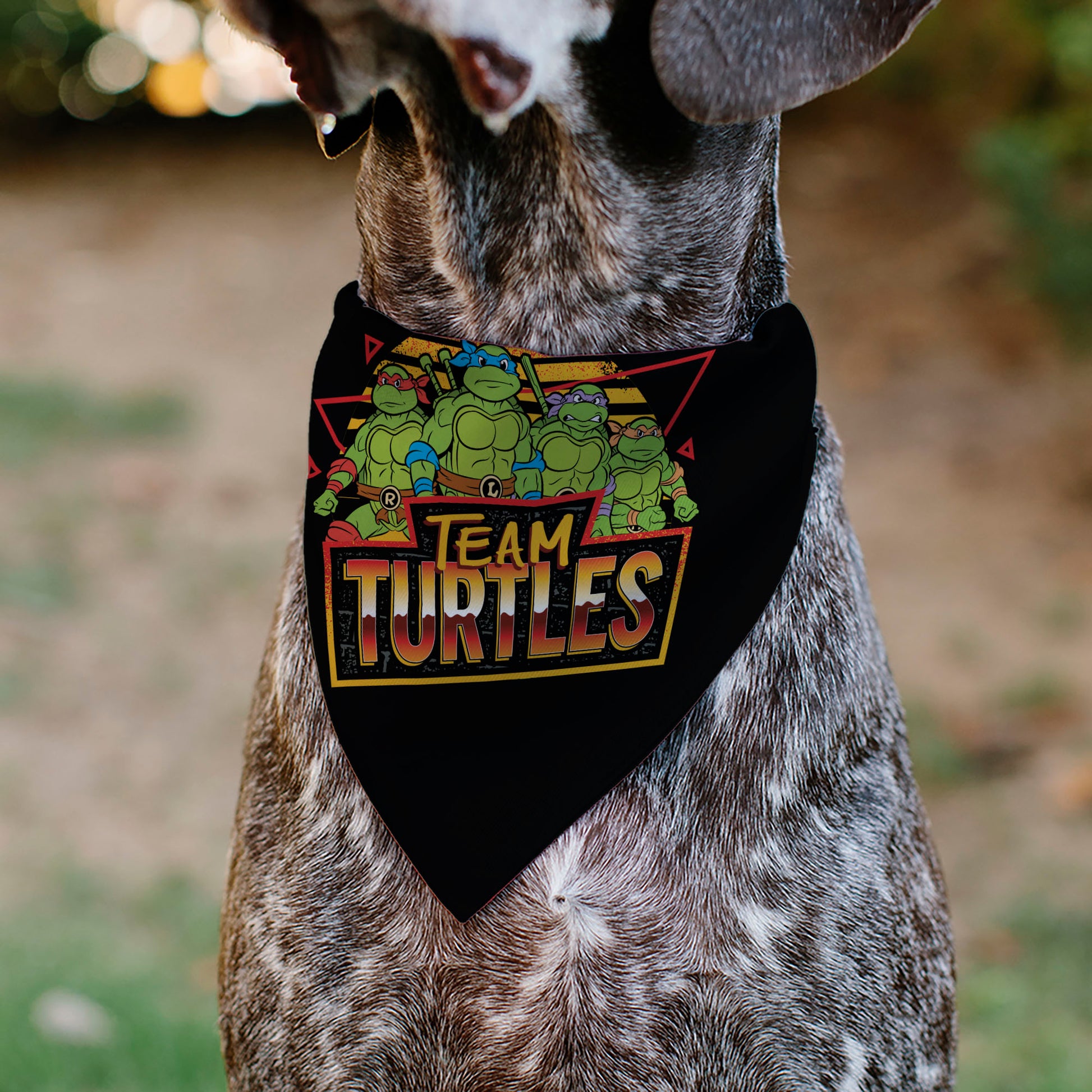 Pet Bandana - Teenage Mutant Ninja Turtles TEAM TURTLES Group Pose Black/Red Pet Bandanas Teenage Mutant Ninja Turtles