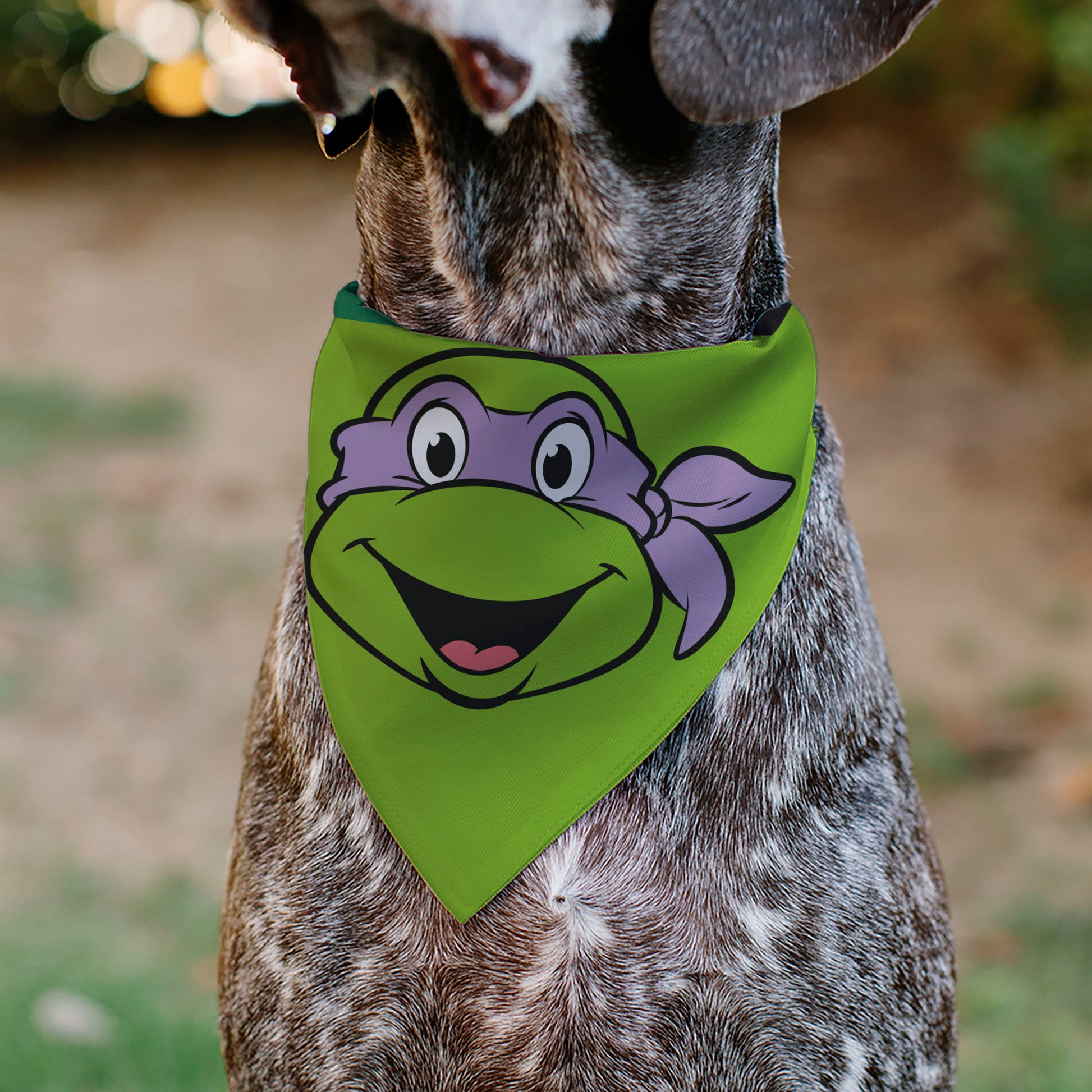 Pet Bandana - Ninja Turtles Donatello Face and Turtle Shell Character Close-Up Green Pet Bandanas Nickelodeon