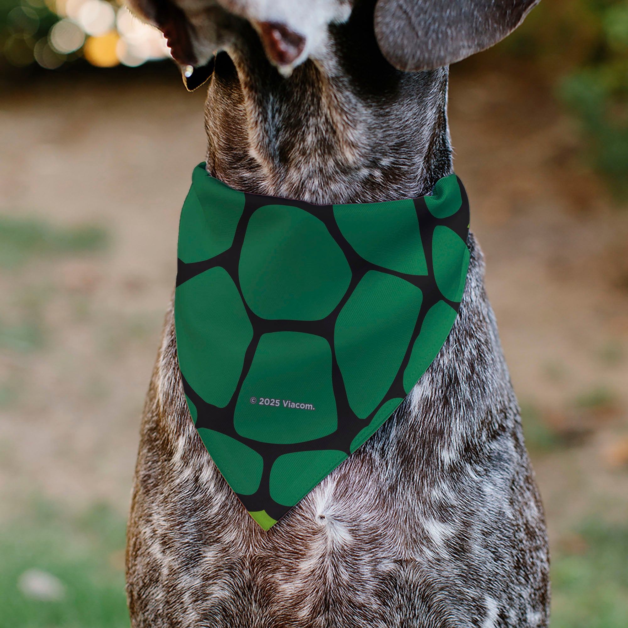 Pet Bandana - Ninja Turtles Donatello Face and Turtle Shell Character Close-Up Green Pet Bandanas Nickelodeon