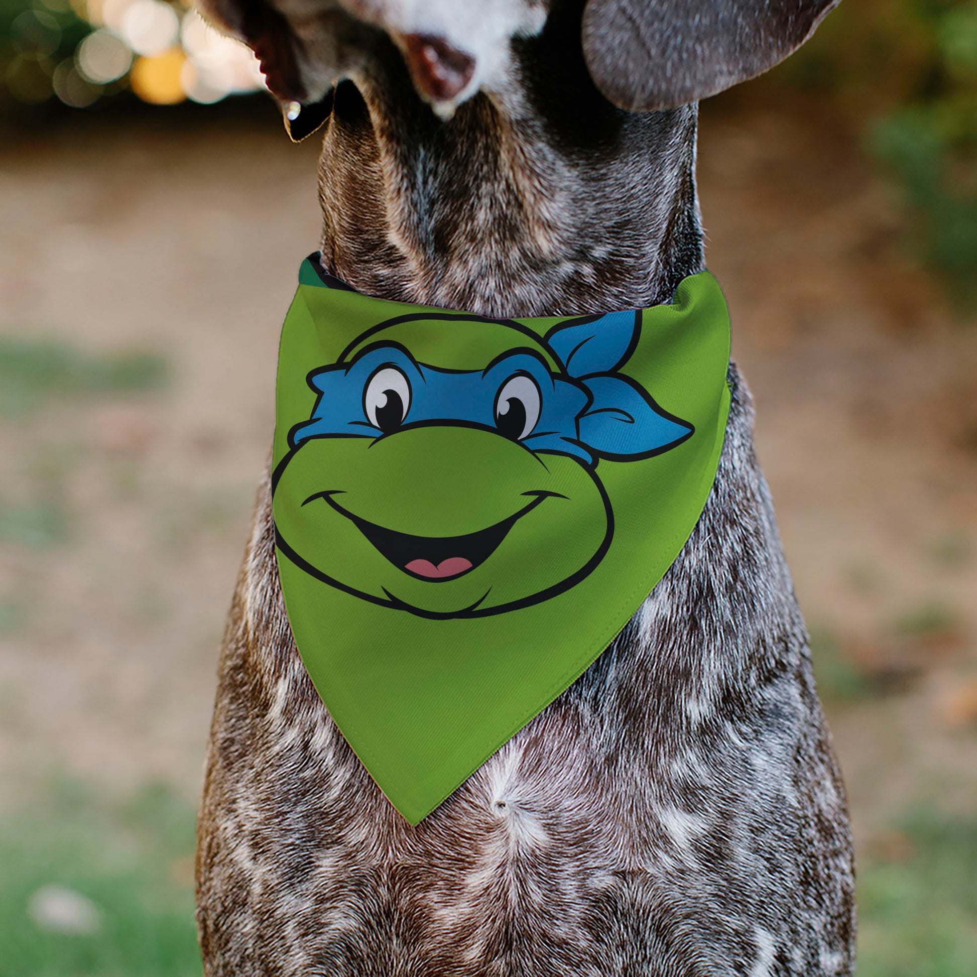 Pet Bandana - Ninja Turtles Leonardo Face and Turtle Shell Character Close-Up Green Pet Bandanas Teenage Mutant Ninja Turtles