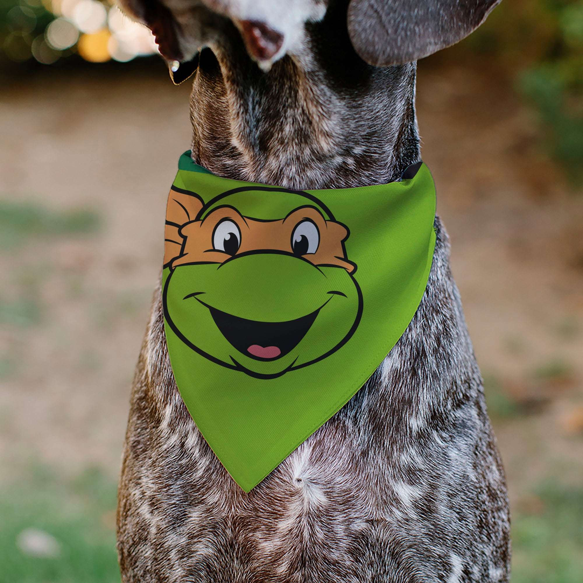 Pet Bandana - Ninja Turtles Michaelangelo Face and Turtle Shell Character Close-Up Green Pet Bandanas Teenage Mutant Ninja Turtles
