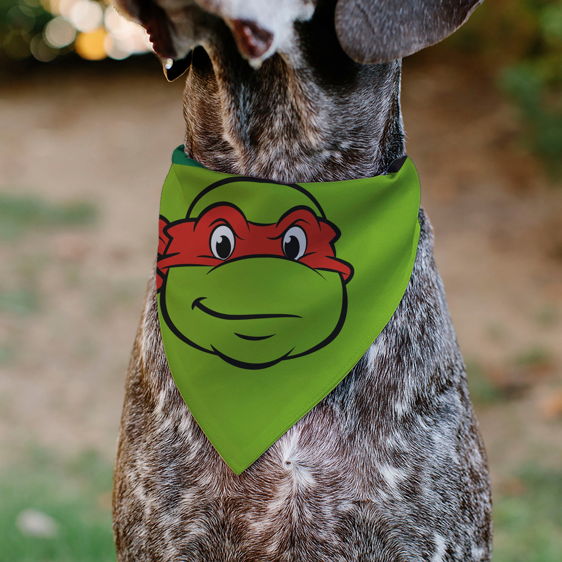 Pet Bandana - Ninja Turtles Raphael Face and Turtle Shell Character Close-Up Green Pet Bandanas Teenage Mutant Ninja Turtles