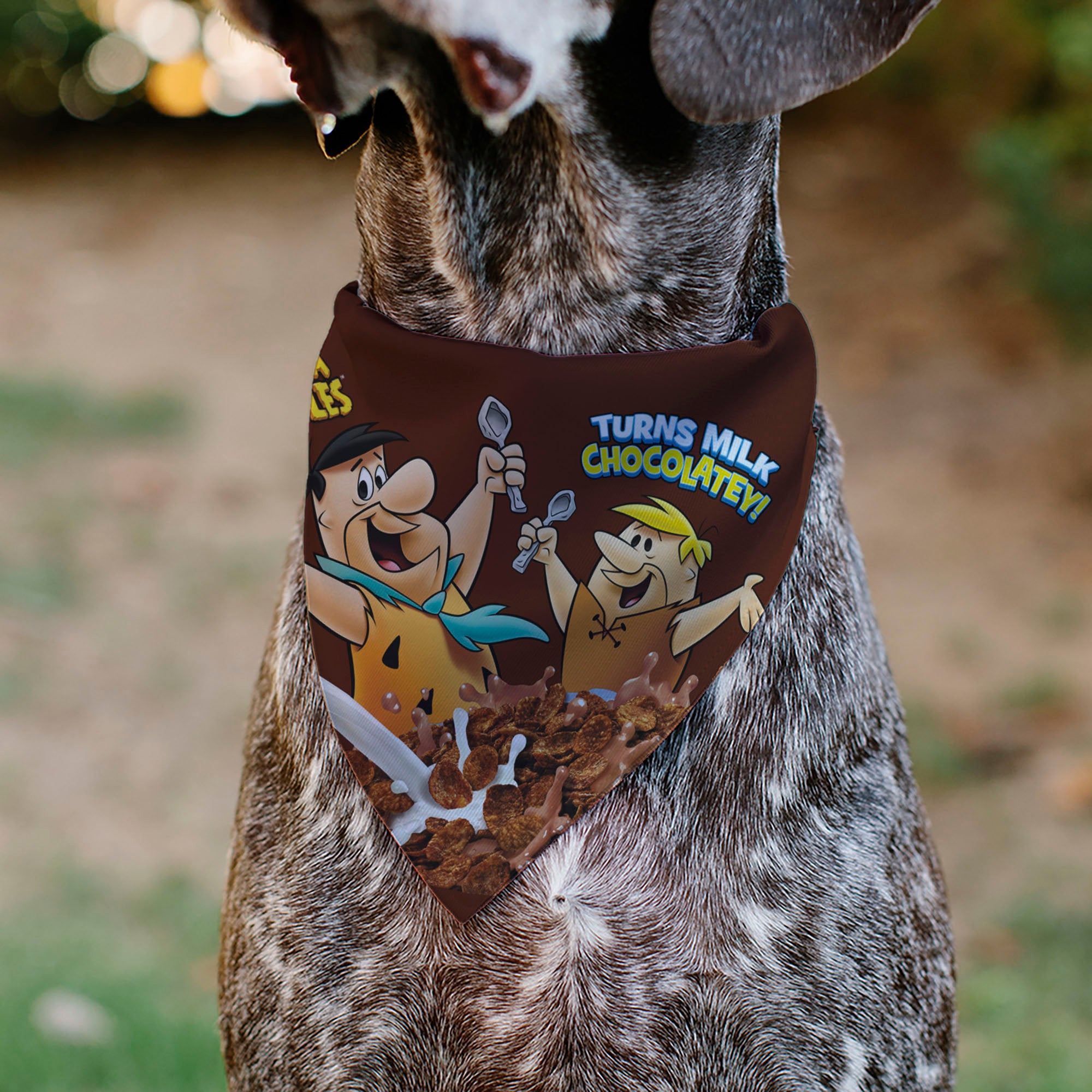 Pet Bandana - COCOA PEBBLES Fred Flintstone and Barney Rubble Cereal Box Print and Vivid Cereal Brown Pet Bandanas The Flintstones