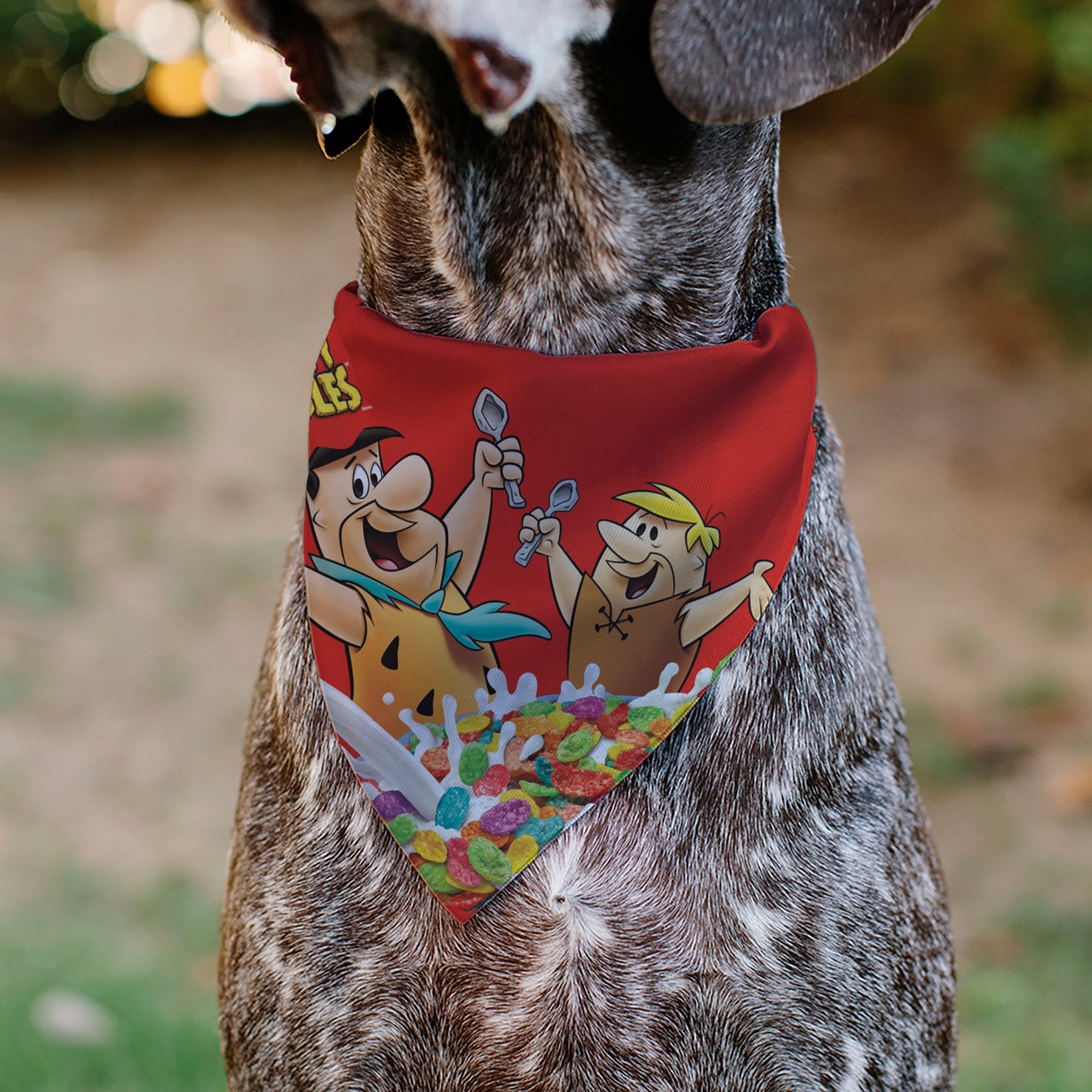 Pet Bandana - FRUITY PEBBLES Fred Flintstone and Barney Rubble Cereal Box Print and Vivid Cereal Multi Color Pet Bandanas The Flintstones
