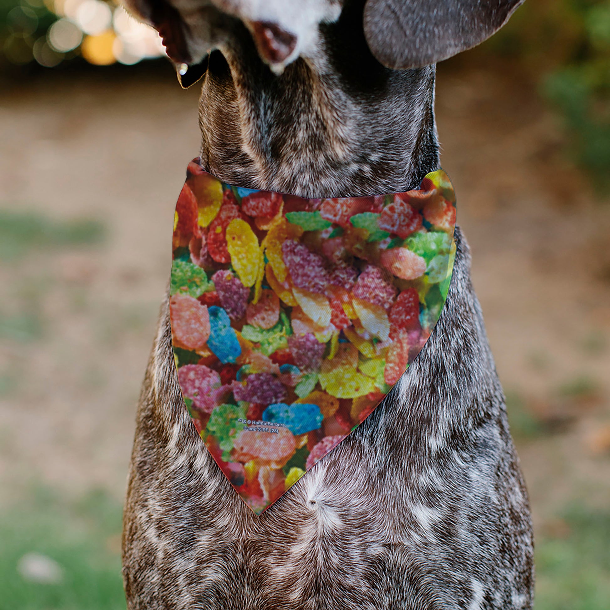 Pet Bandana - FRUITY PEBBLES Fred Flintstone and Barney Rubble Cereal Box Print and Vivid Cereal Multi Color Pet Bandanas The Flintstones