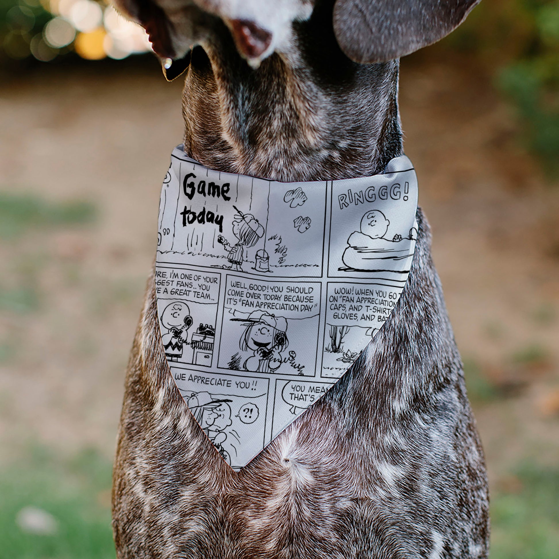 Pet Bandana - PEANUTS Good Ol Charlie Brown Comic Scene Blocks White/Black Pet Bandanas Peanuts