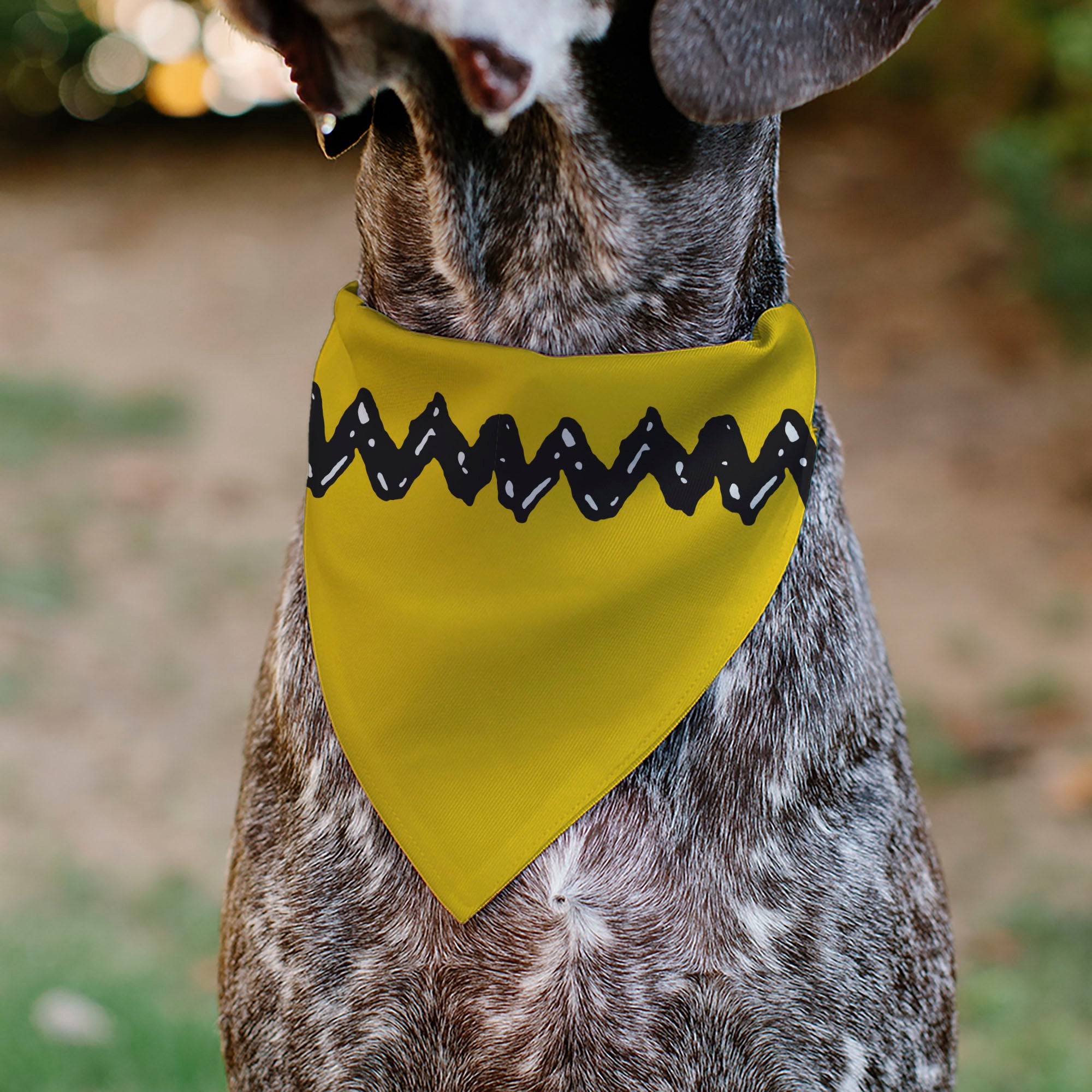 Pet Bandana - Peanuts Charlie Brown Zig Zag Stripe Yellow/Black Pet Bandanas Peanuts