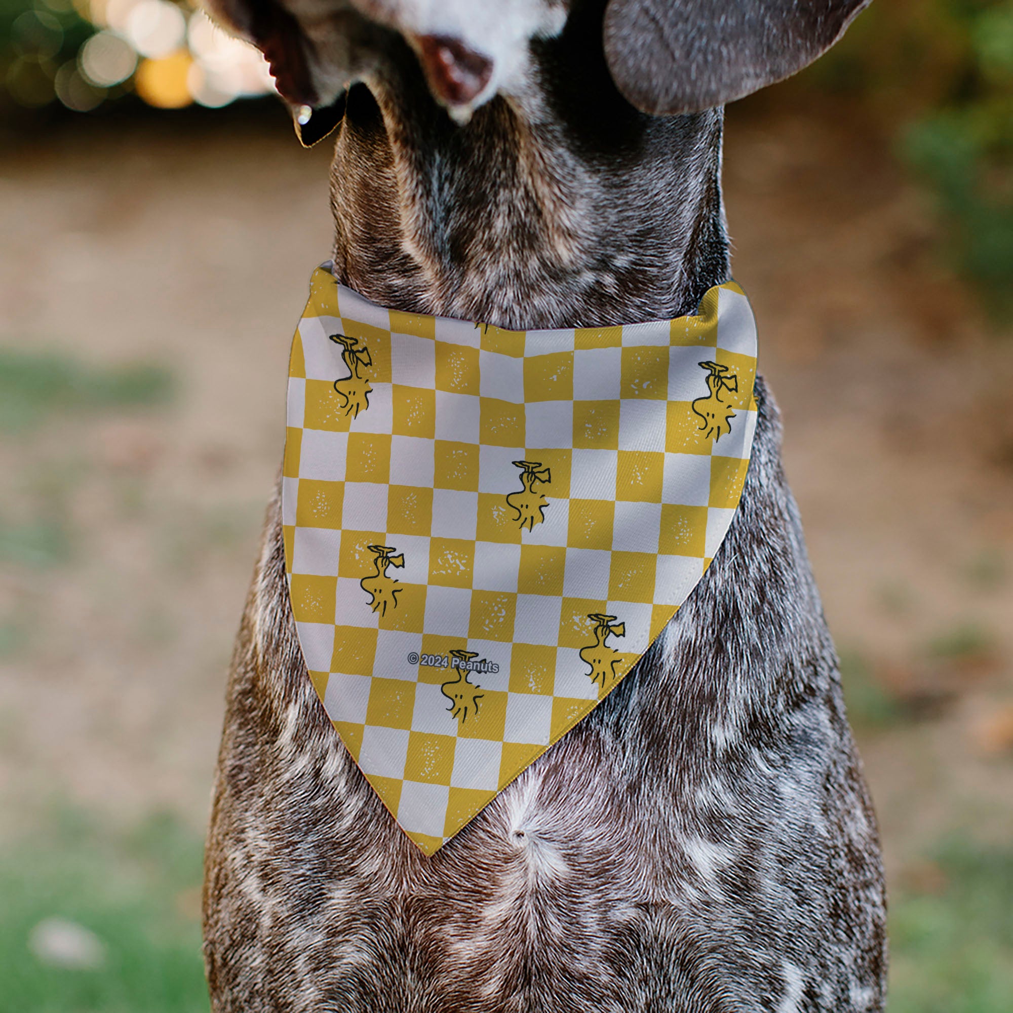 Pet Bandana - Peanuts Woodstock Pose Checker Yellow/White Pet Bandanas Peanuts