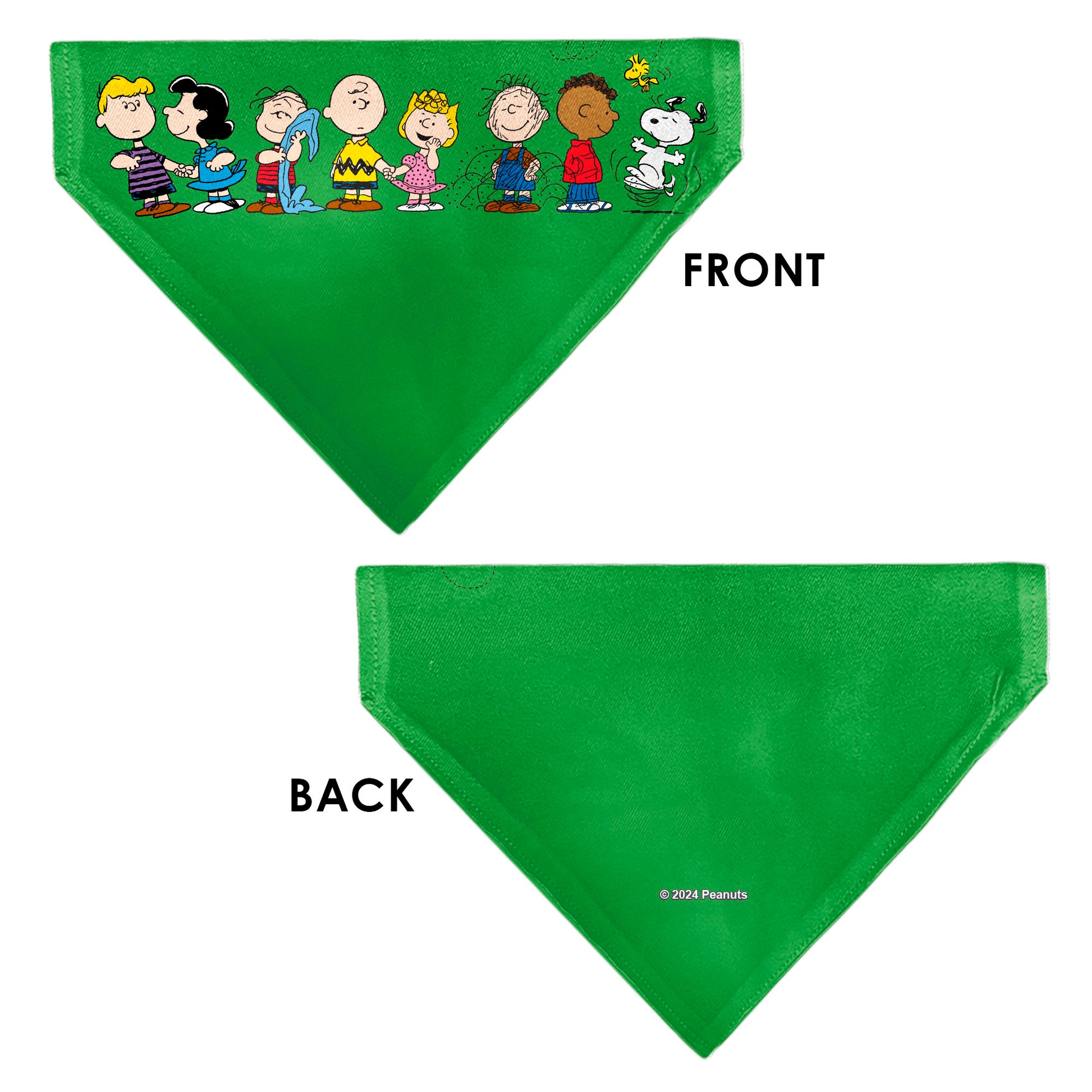Pet Bandana - Peanuts Gang Group Pose Green Pet Bandanas Peanuts
