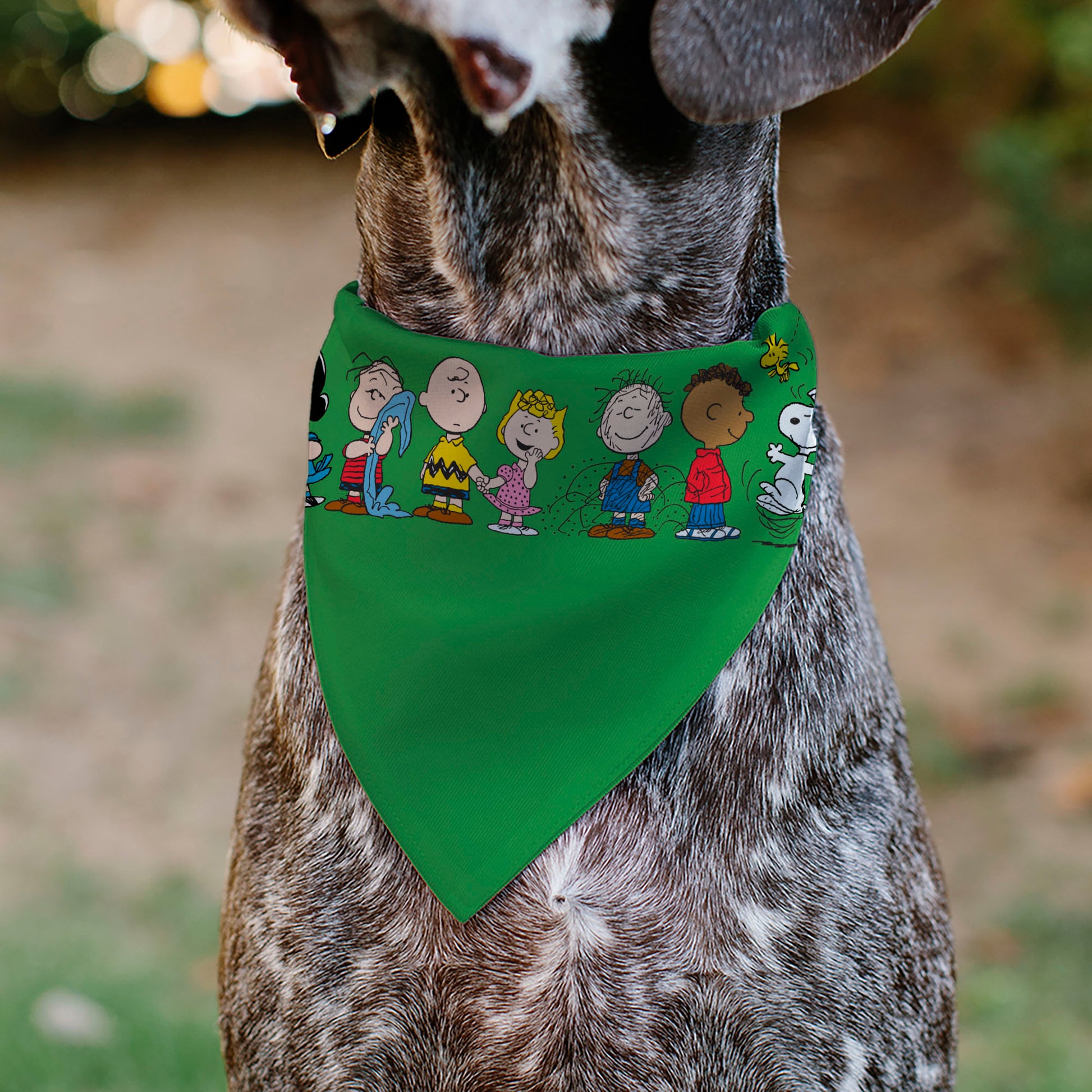 Pet Bandana - Peanuts Gang Group Pose Green Pet Bandanas Peanuts