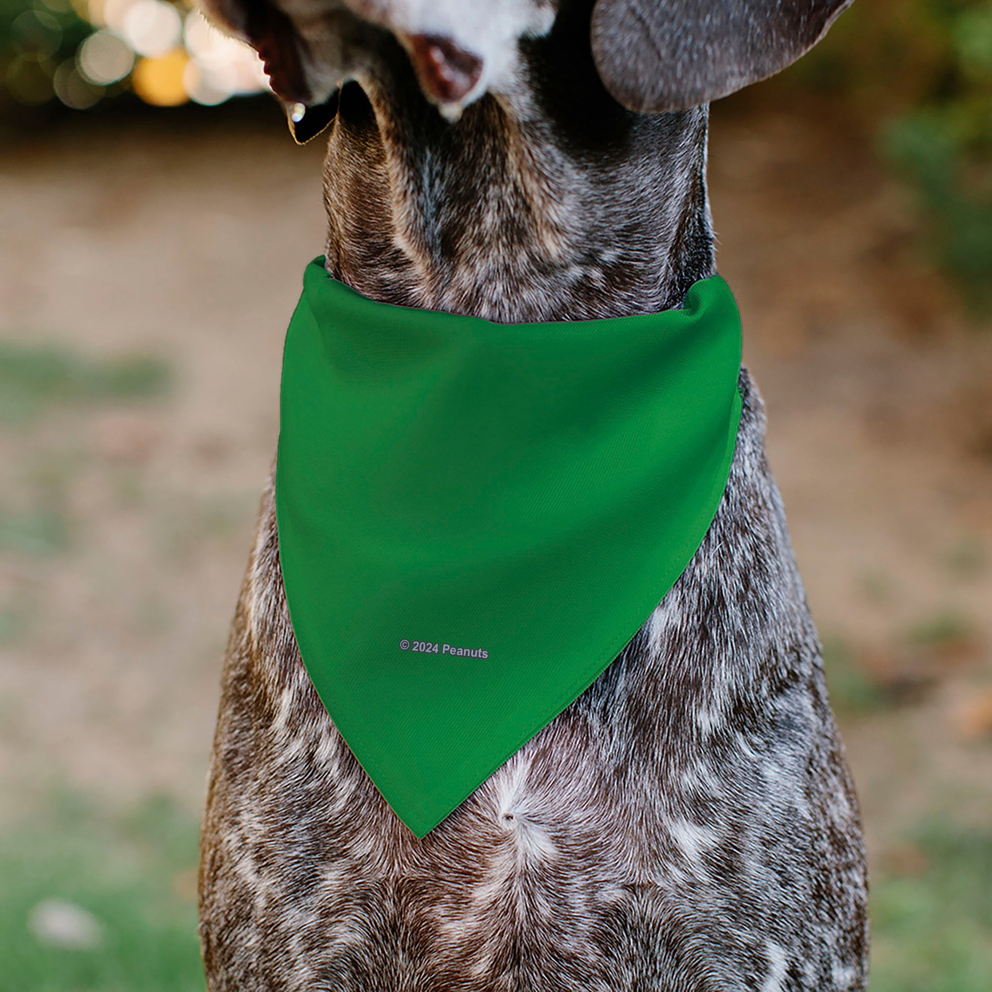 Pet Bandana - Peanuts Gang Group Pose Green Pet Bandanas Peanuts