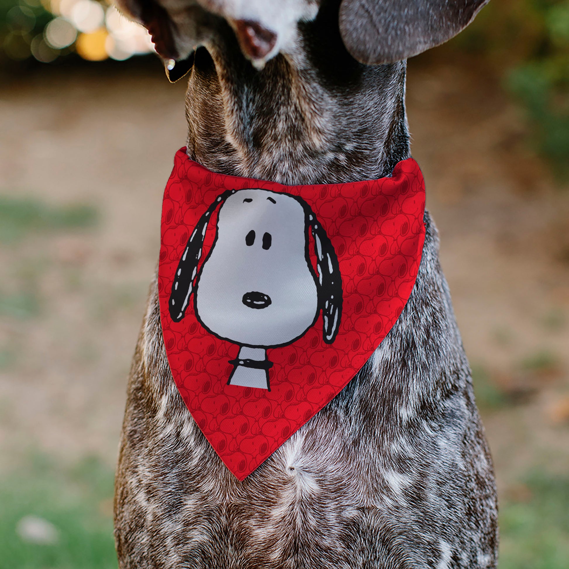 Pet Bandana - Peanuts Snoopy Face and Profile Pose Reds Pet Bandanas Peanuts