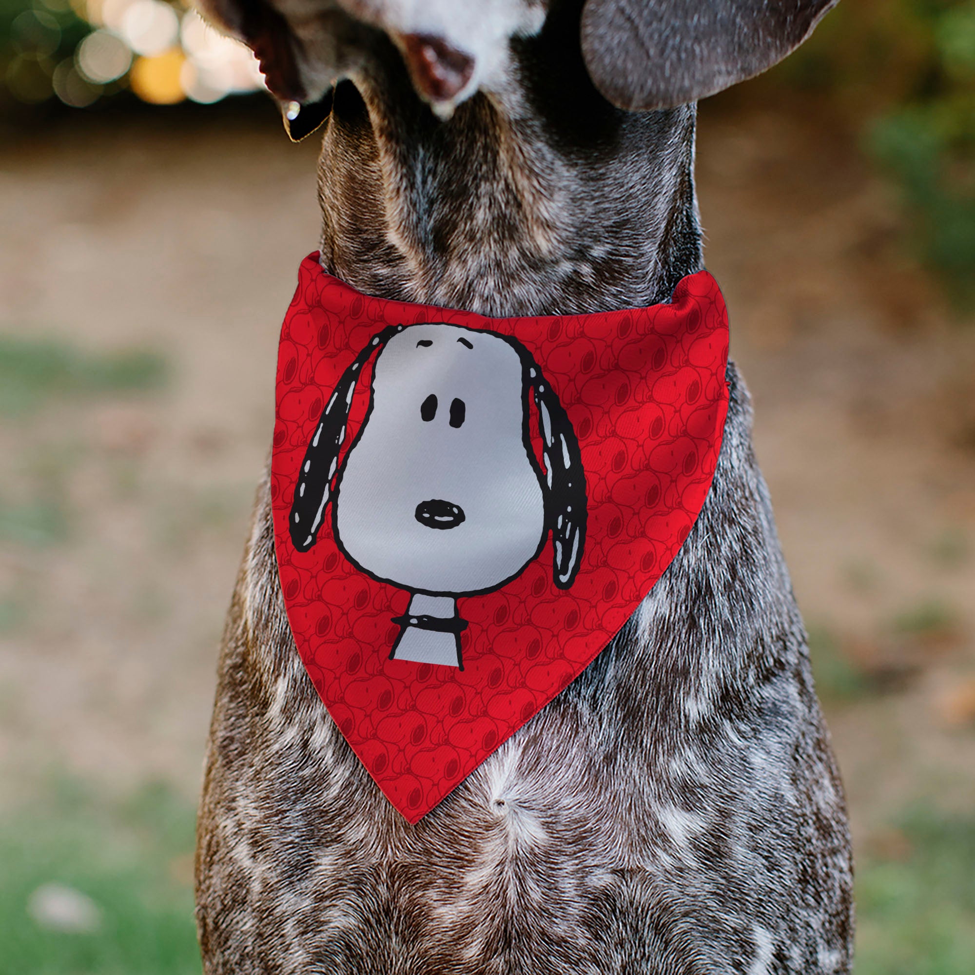 Pet Bandana - Peanuts Snoopy Face and Profile Pose Reds Pet Bandanas Peanuts