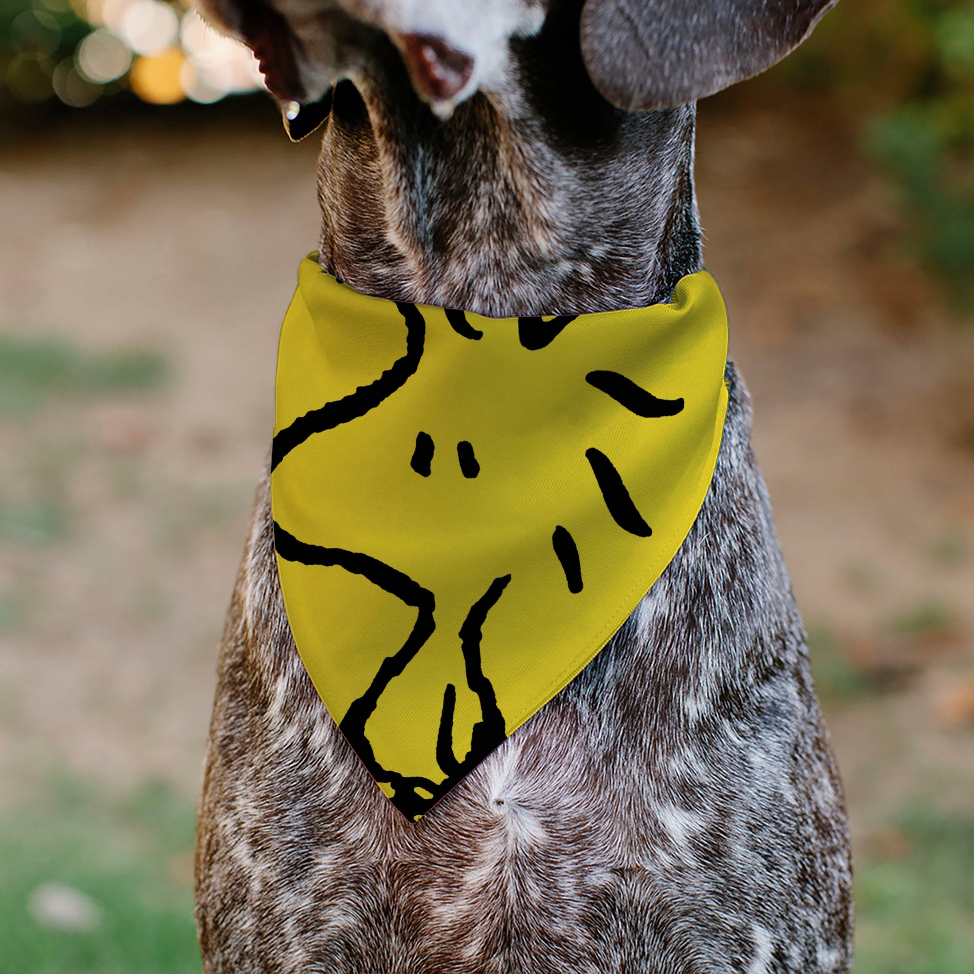 Pet Bandana - Peanuts Woodstock Pose Yellow Pet Bandanas Peanuts