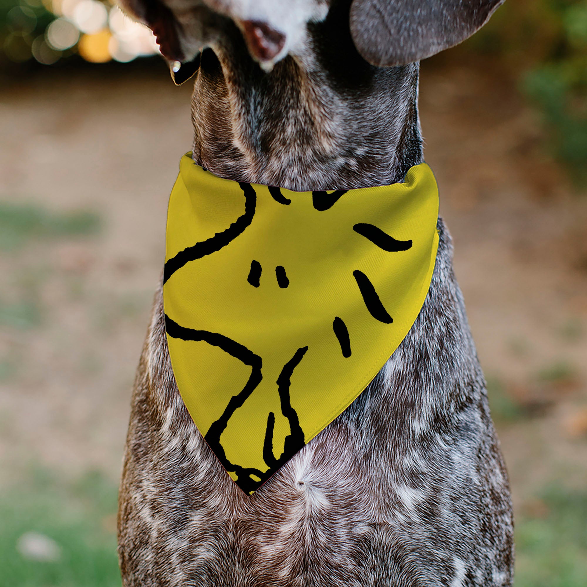 Pet Bandana - Peanuts Woodstock Pose Yellow Pet Bandanas Peanuts