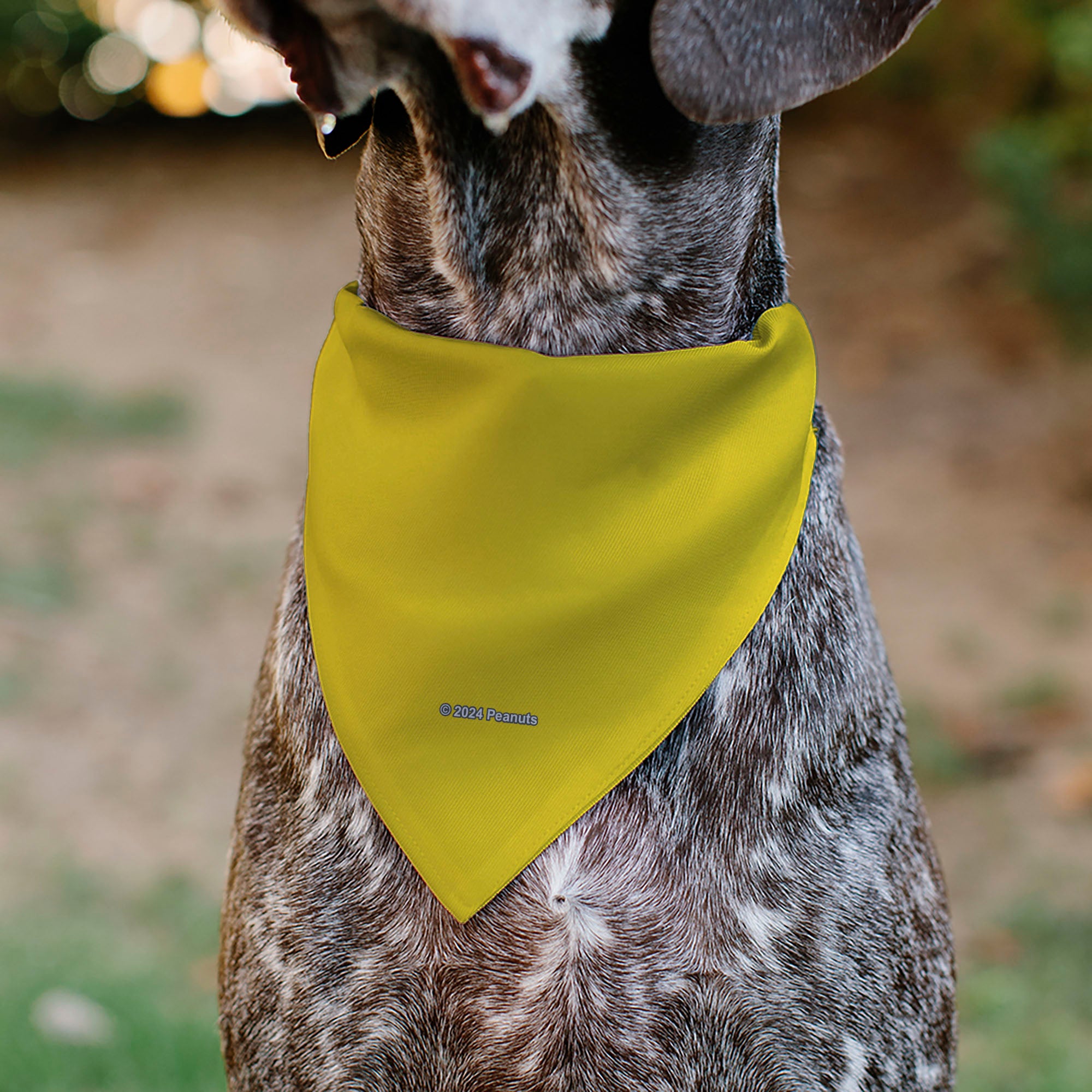 Pet Bandana - Peanuts Woodstock Pose Yellow Pet Bandanas Peanuts