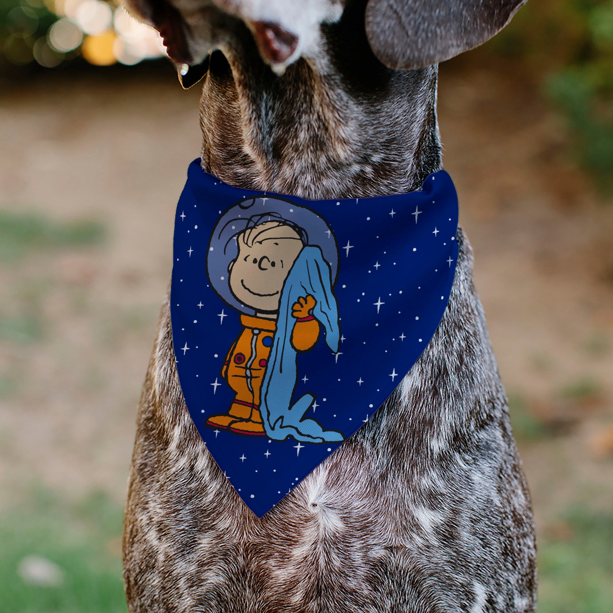 Pet Bandana - Peanuts Astronaut Linus Security Blanket Space Pose Blue Pet Bandanas Peanuts
