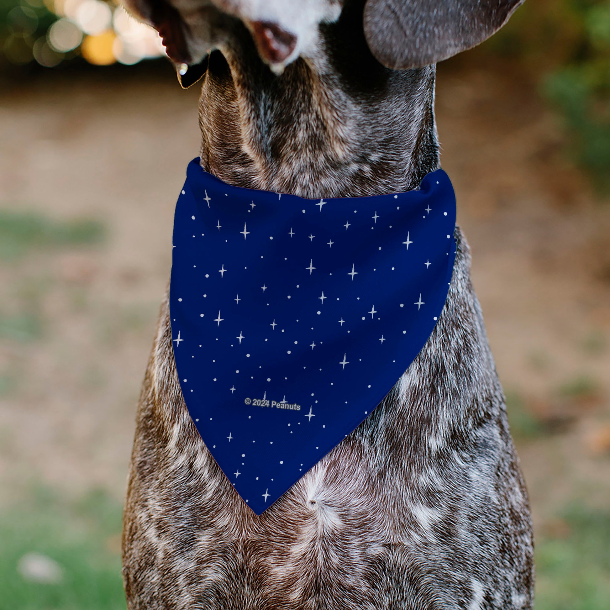 Pet Bandana - Peanuts Astronaut Linus Security Blanket Space Pose Blue Pet Bandanas Peanuts