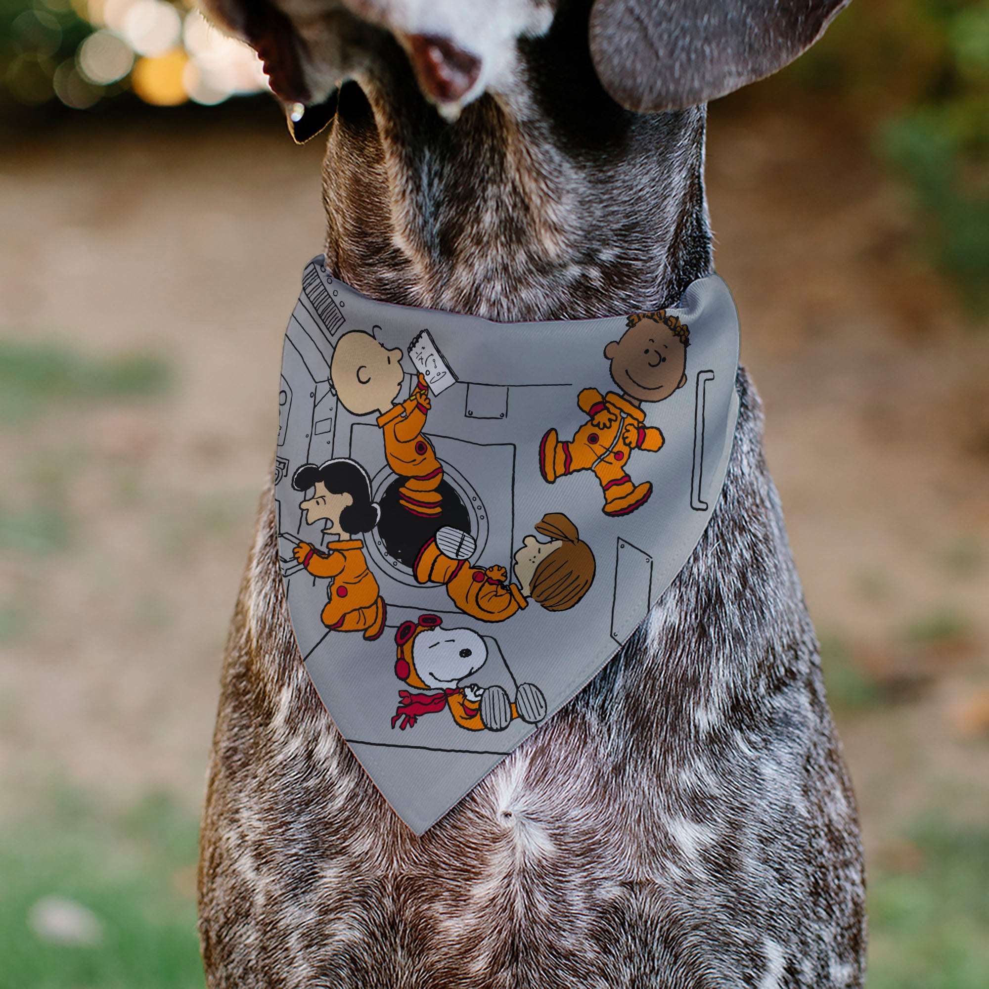 Pet Bandana - Peanuts Gang Floating Astronauts Group Pose Gray Pet Bandanas Peanuts