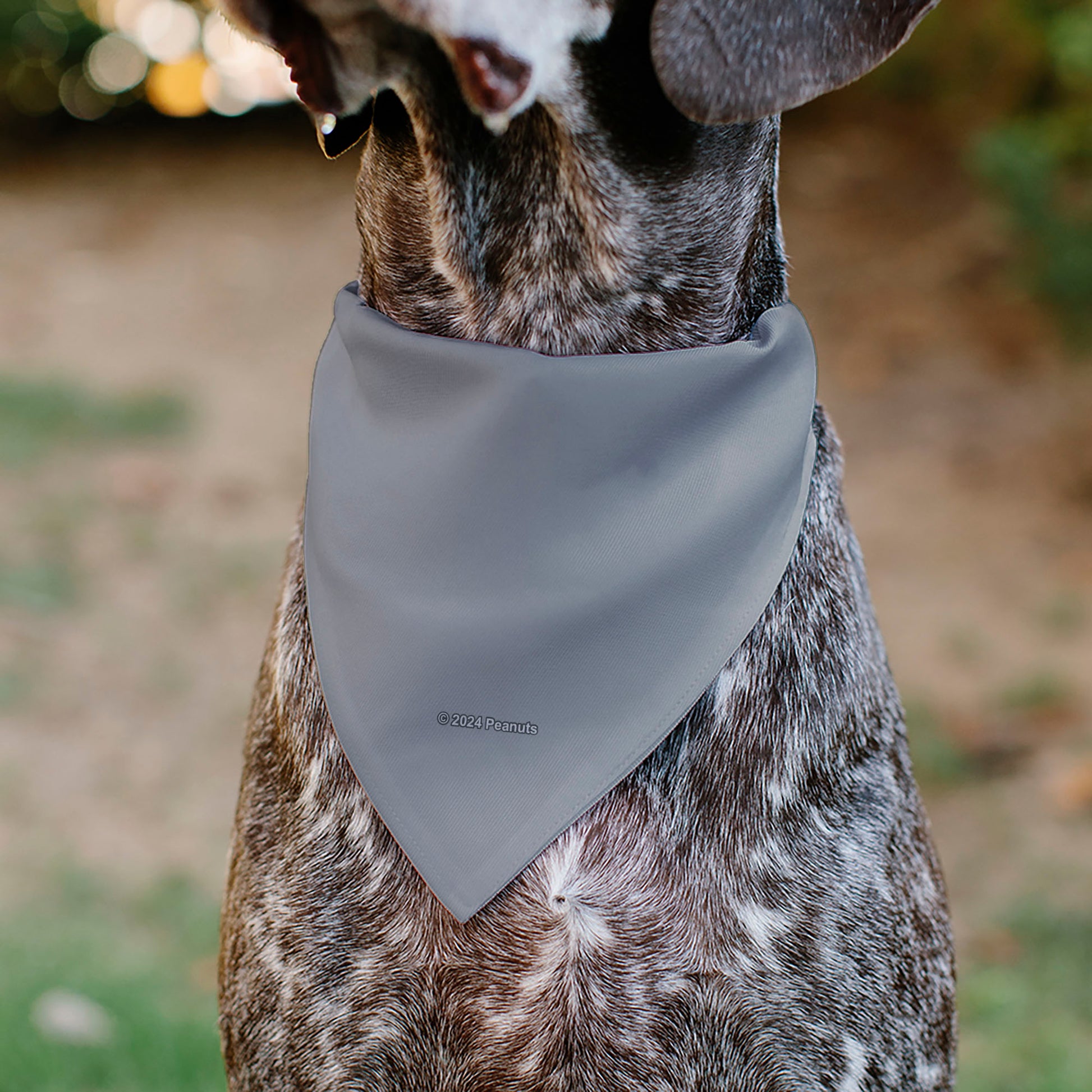 Pet Bandana - Peanuts Gang Floating Astronauts Group Pose Gray Pet Bandanas Peanuts