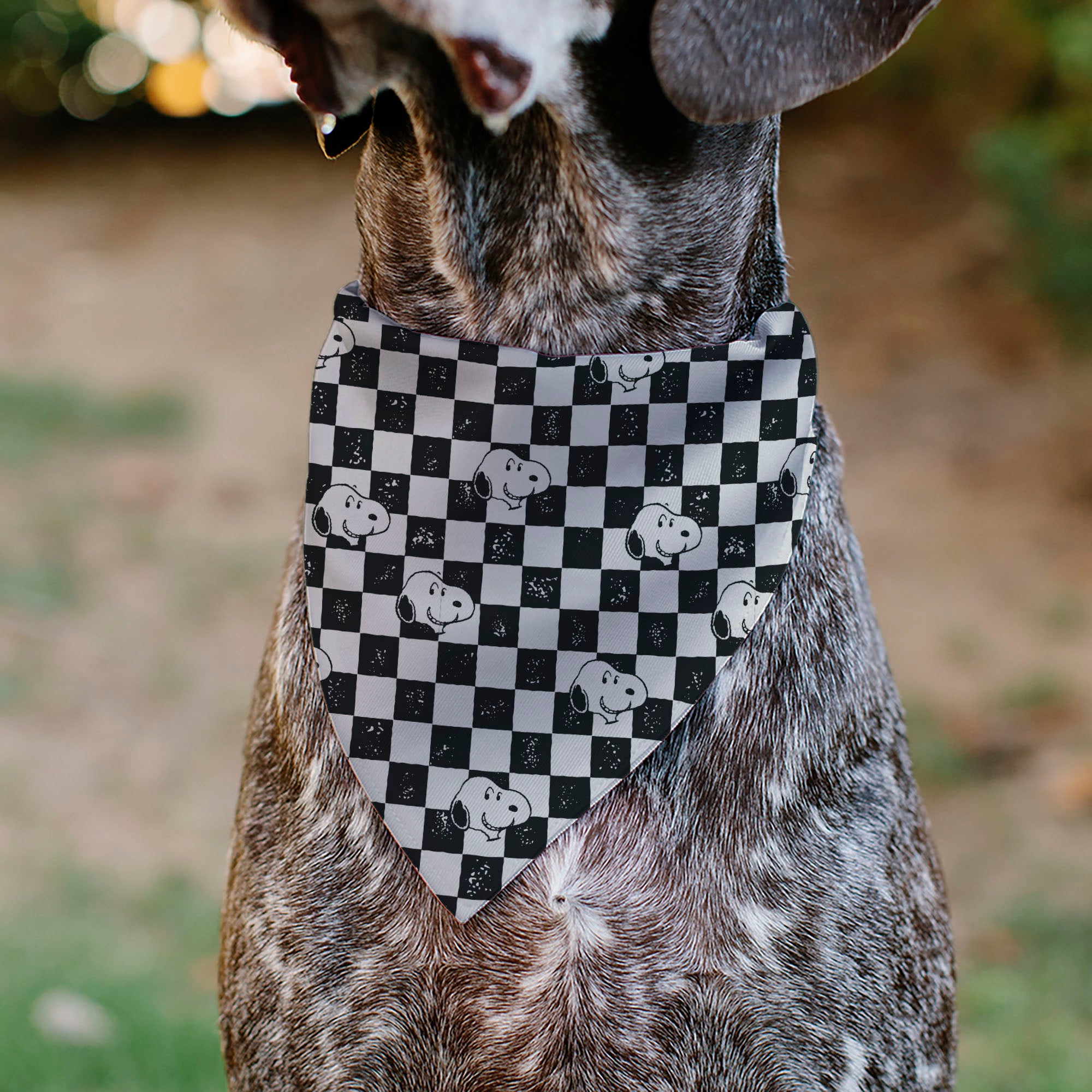 Pet Bandana - Peanuts Snoopy Smiling Face Checker Black/White Pet Bandanas Peanuts