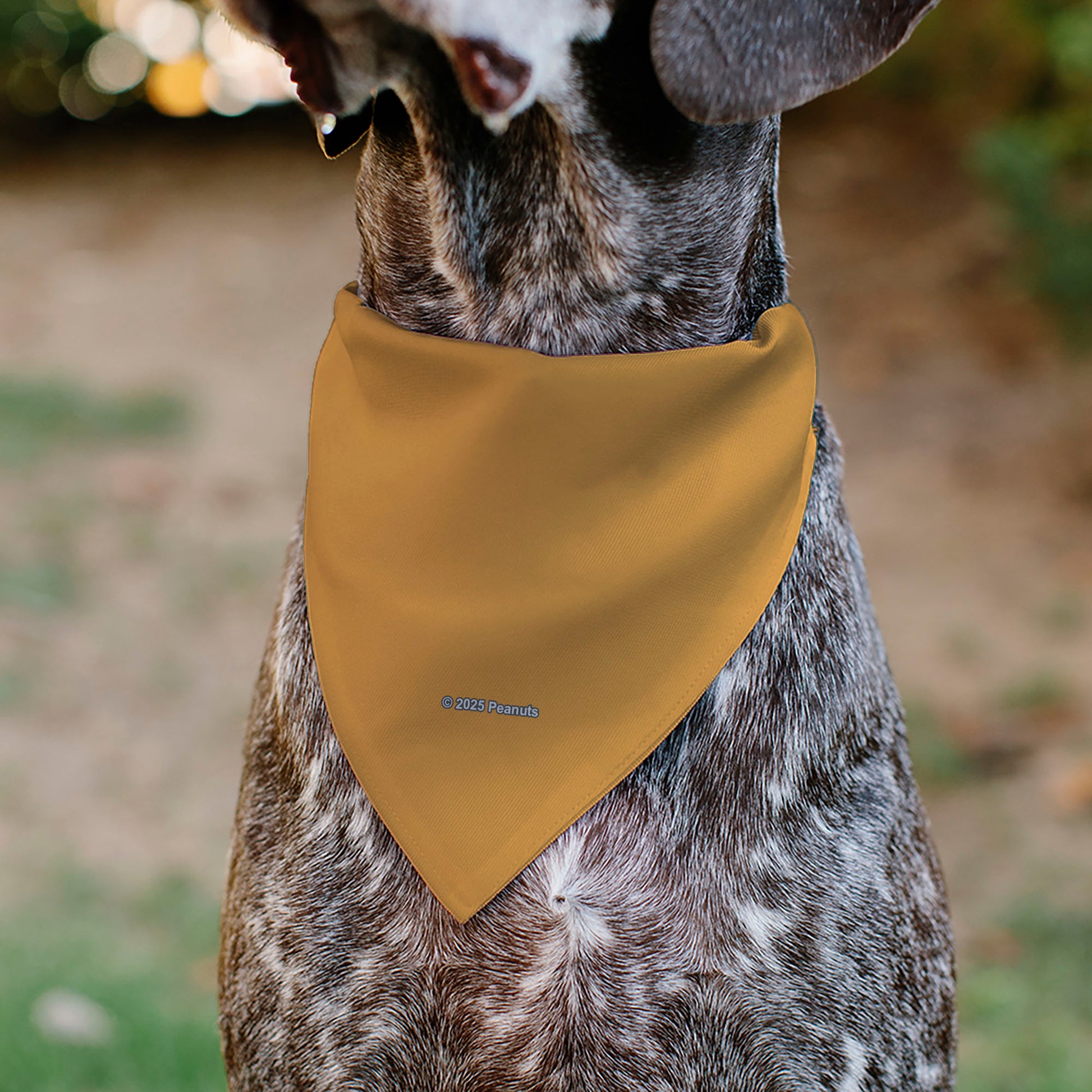Pet Bandana - Peanuts Marcie Smiling Face Pose Yellow Pet Bandanas Peanuts