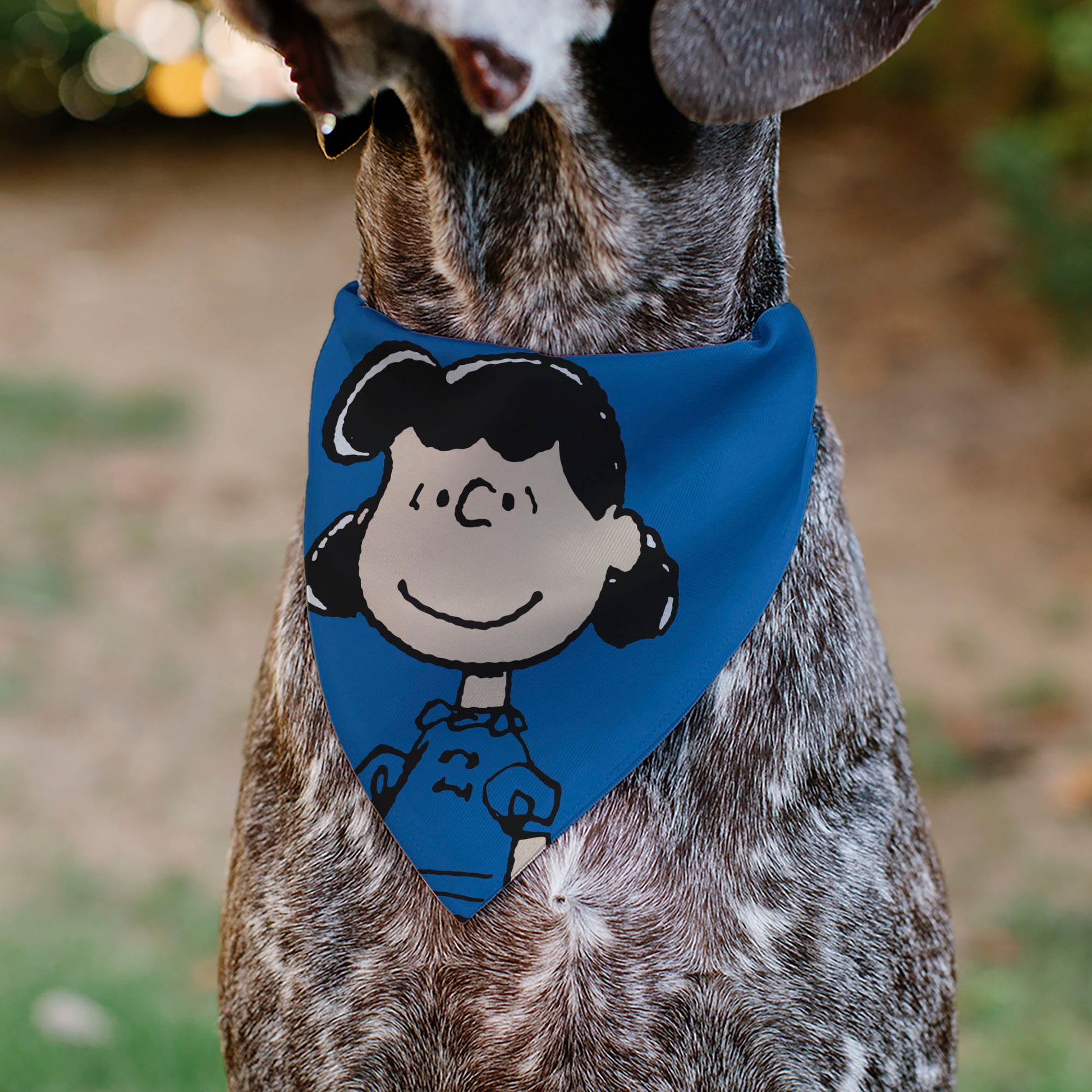 Pet Bandana - Peanuts Lucy van Pelt Smiling Face Pose Blue Pet Bandanas Peanuts
