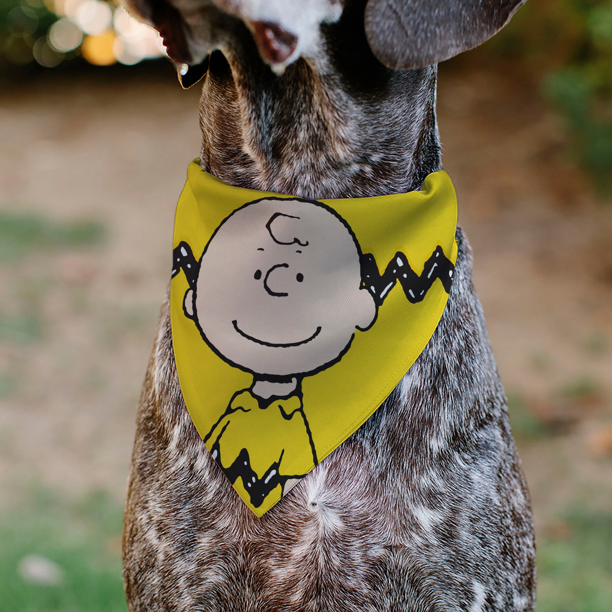 Pet Bandana - Peanuts Charlie Brown Smiling Face Pose with Stripe Yellow Pet Bandanas Peanuts