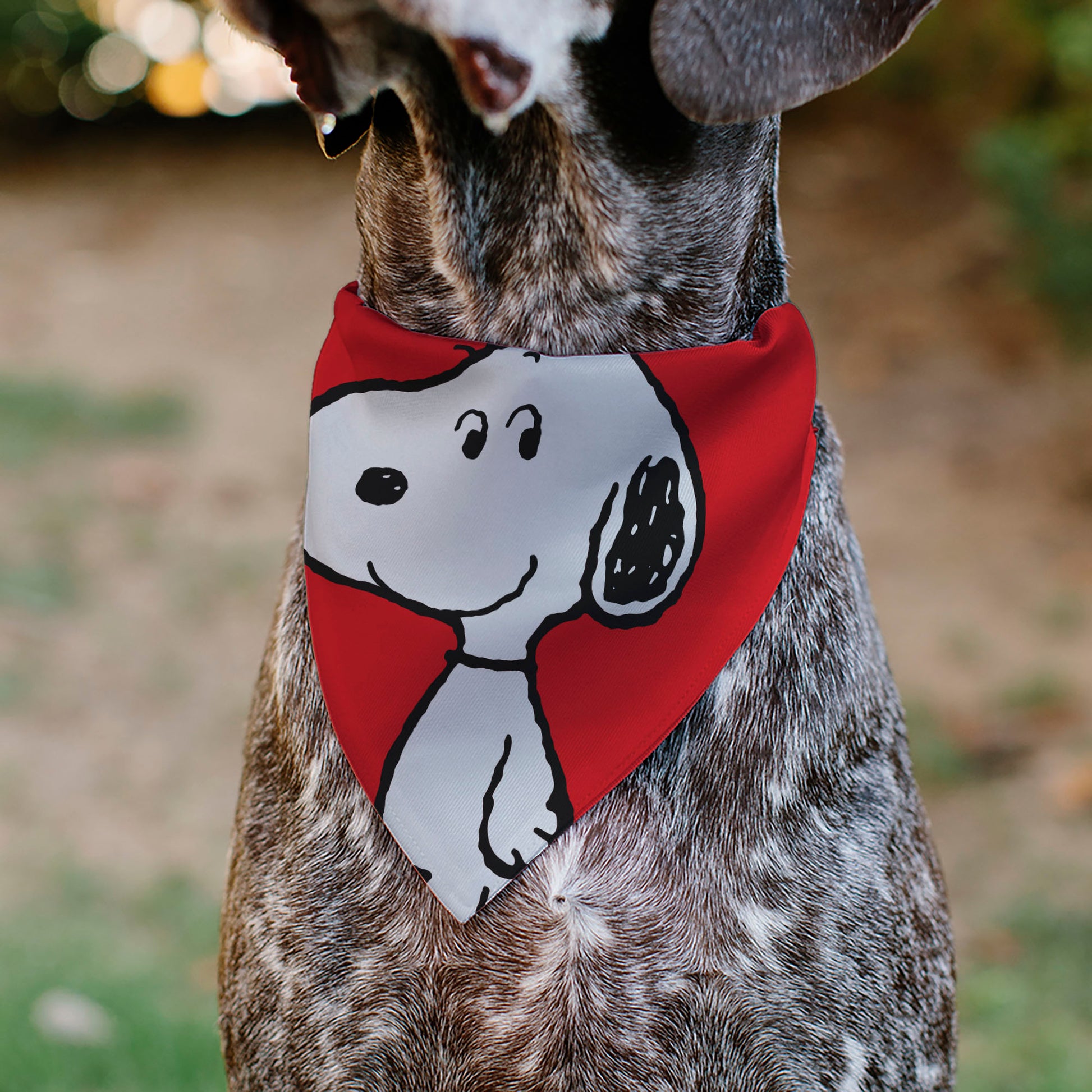 Pet Bandana - Peanuts Snoopy Smiling Face Pose Red Pet Bandanas Peanuts Worldwide LLC