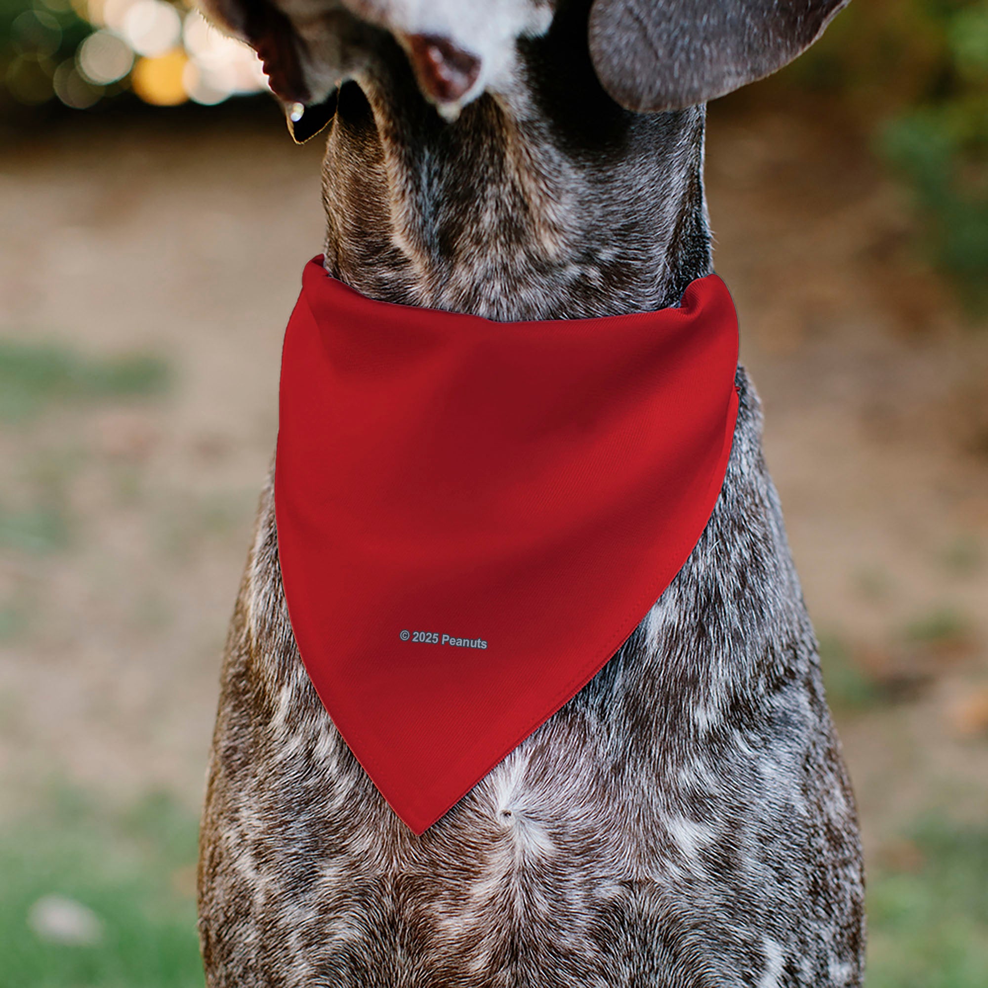 Pet Bandana - Peanuts Snoopy Smiling Face Pose Red Pet Bandanas Peanuts Worldwide LLC