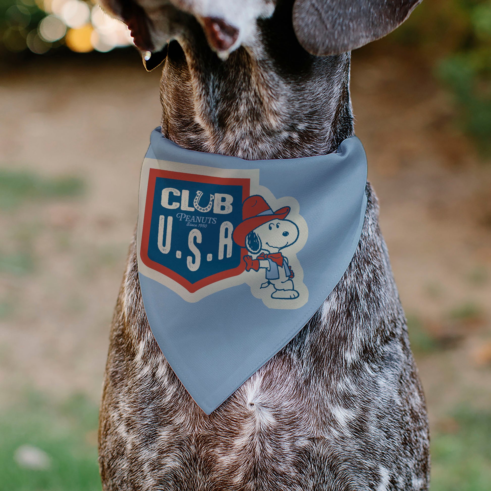 Pet Bandana - Peanuts Snoopy COWBOY USA Pose Light Blue/Red/White/Blue Pet Bandanas Peanuts