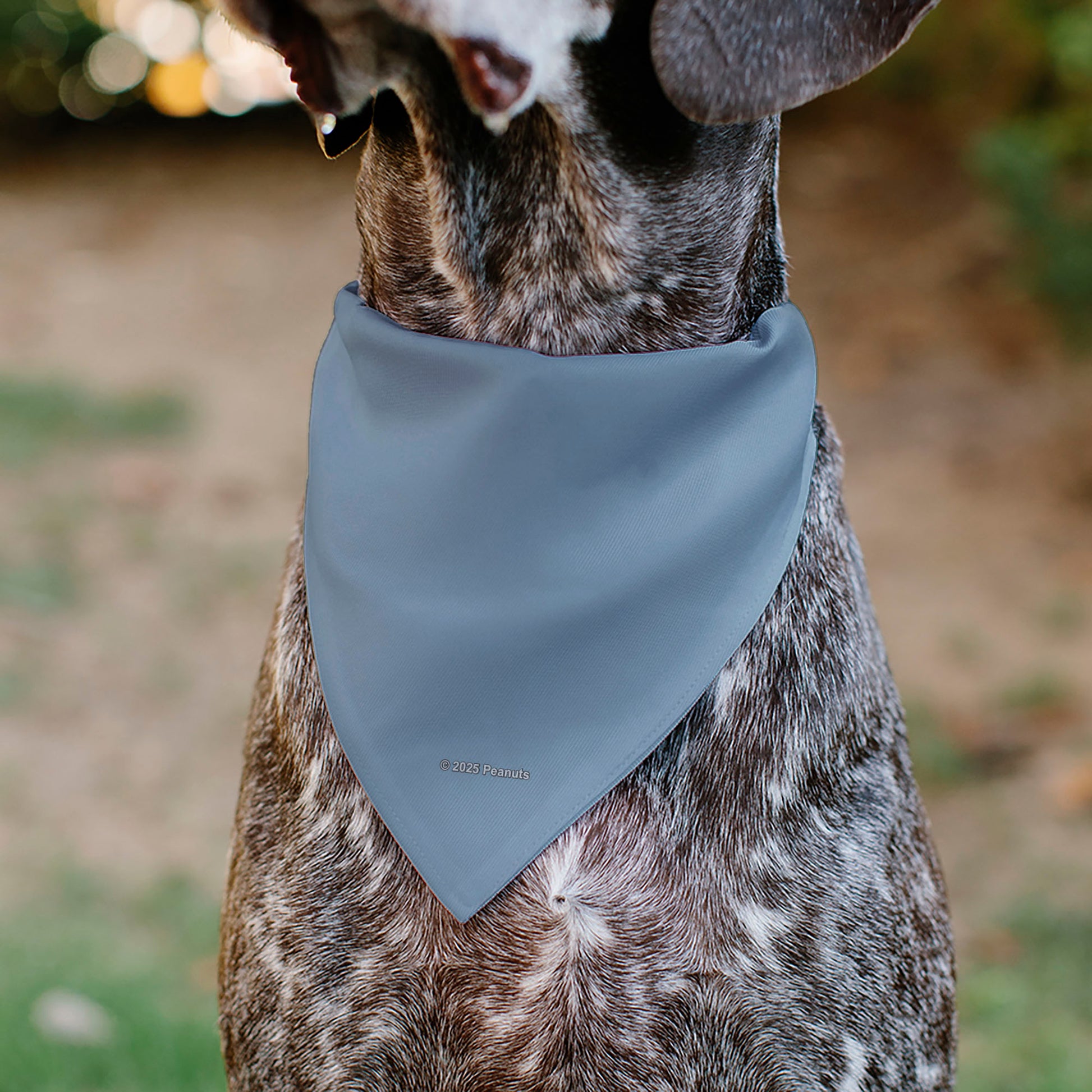 Pet Bandana - Peanuts Snoopy COWBOY USA Pose Light Blue/Red/White/Blue Pet Bandanas Peanuts